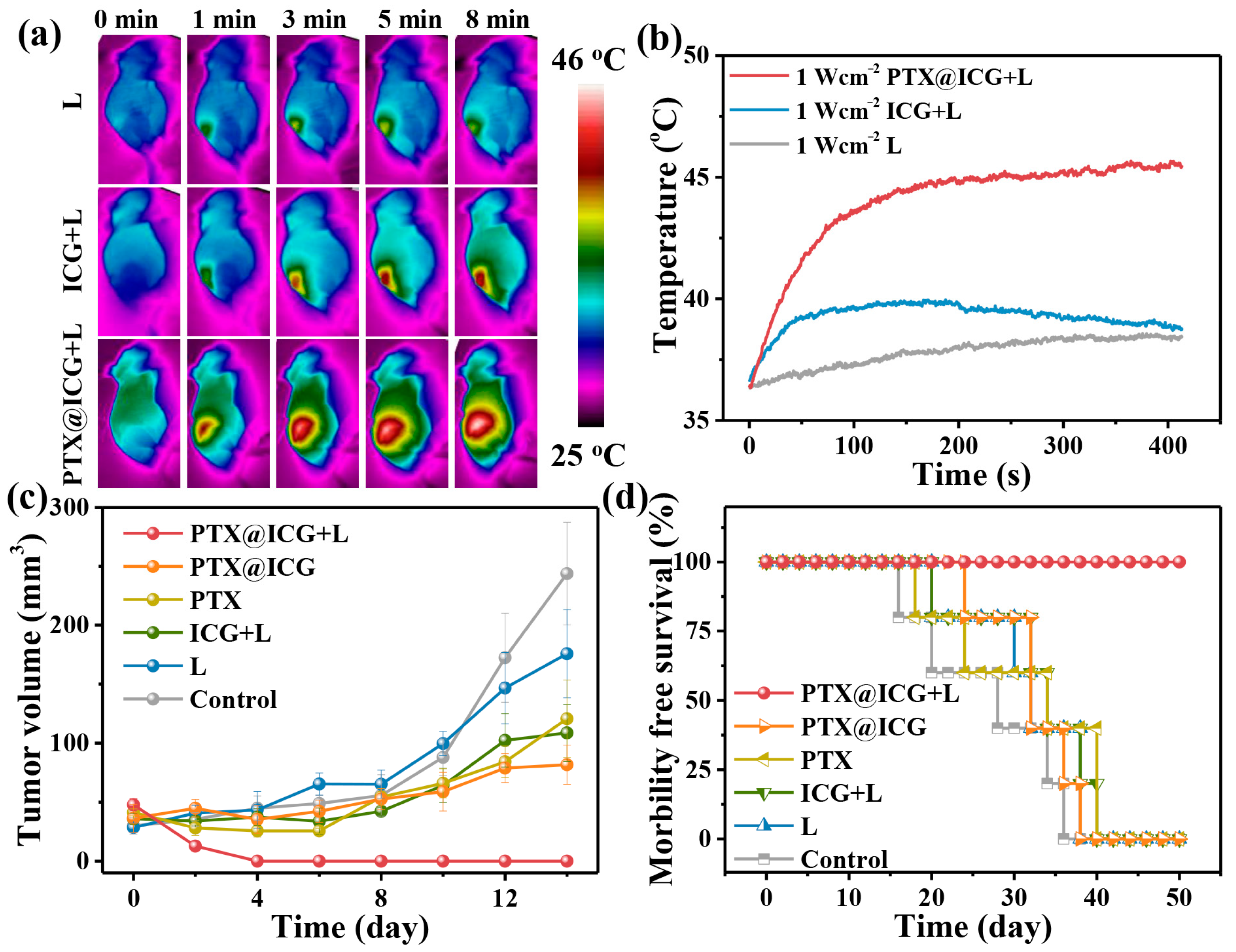 Nanomaterials 13 02499 g004 Nanomaterials 13 02499 g004