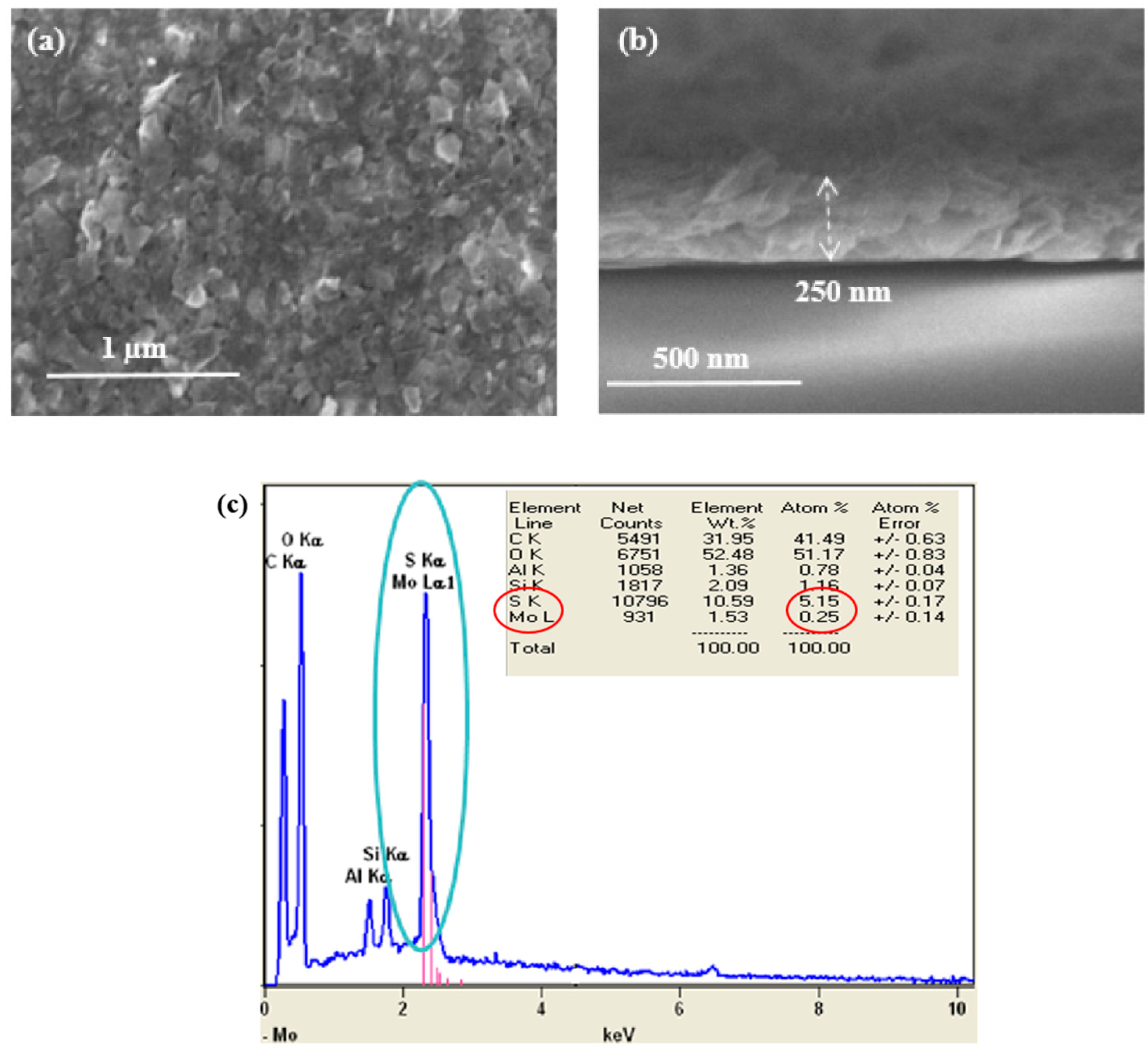 Nanomaterials 13 02502 g007
