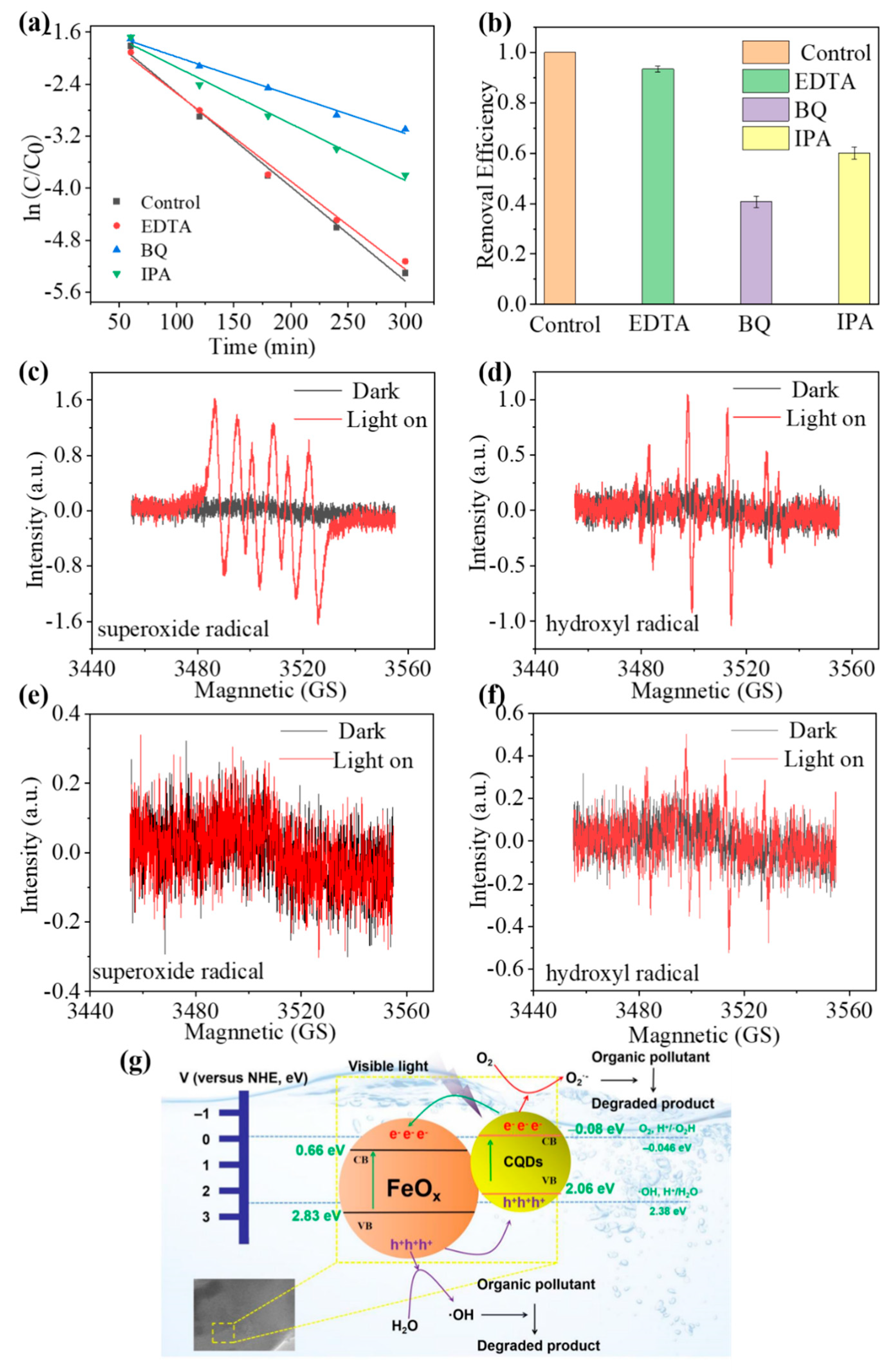 Nanomaterials 13 02506 g010