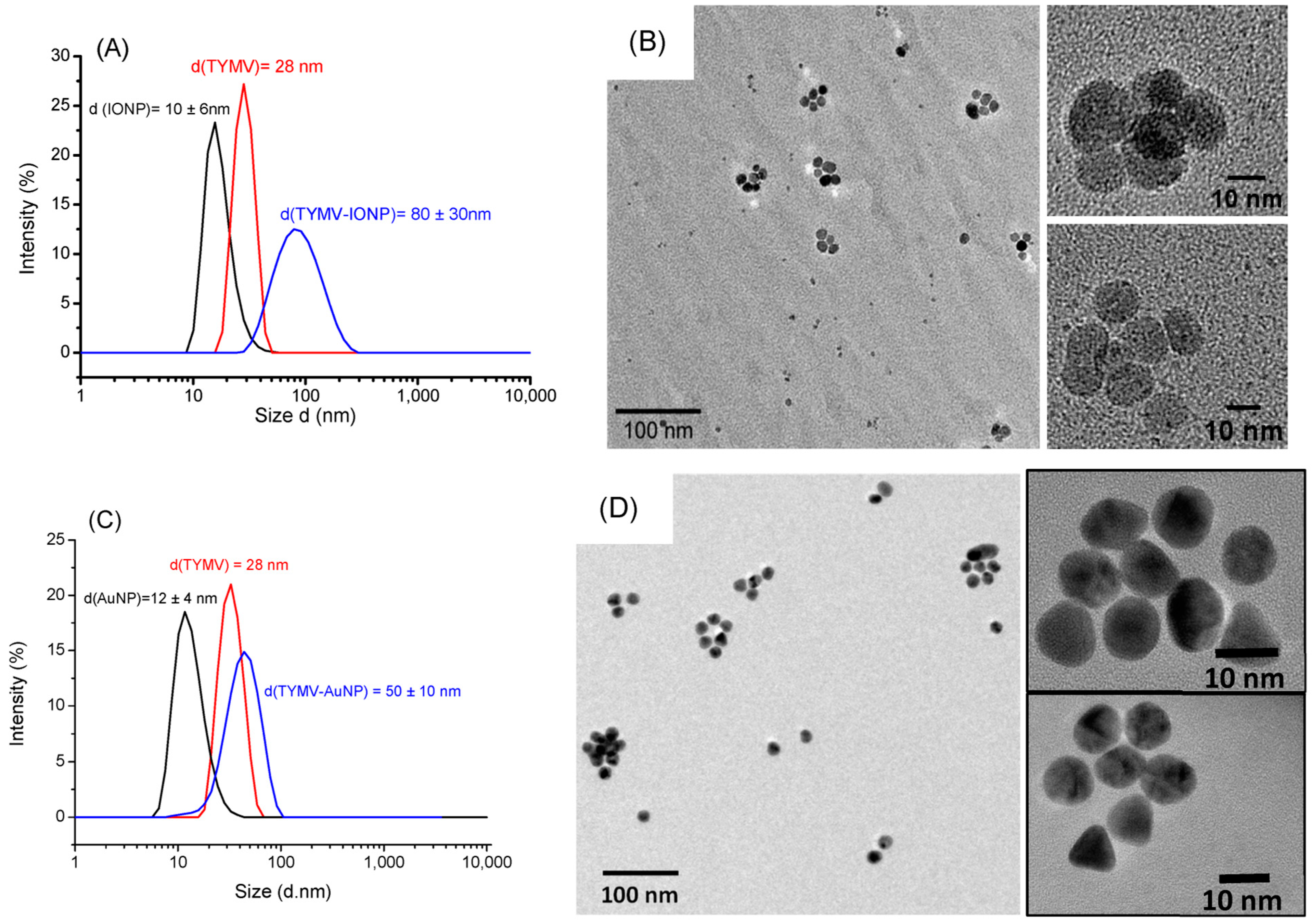 Nanomaterials 13 02509 g004