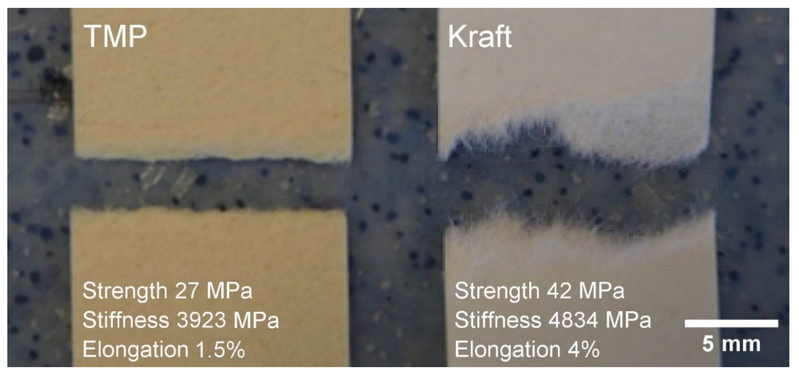 Nanomaterials 13 02511 g003