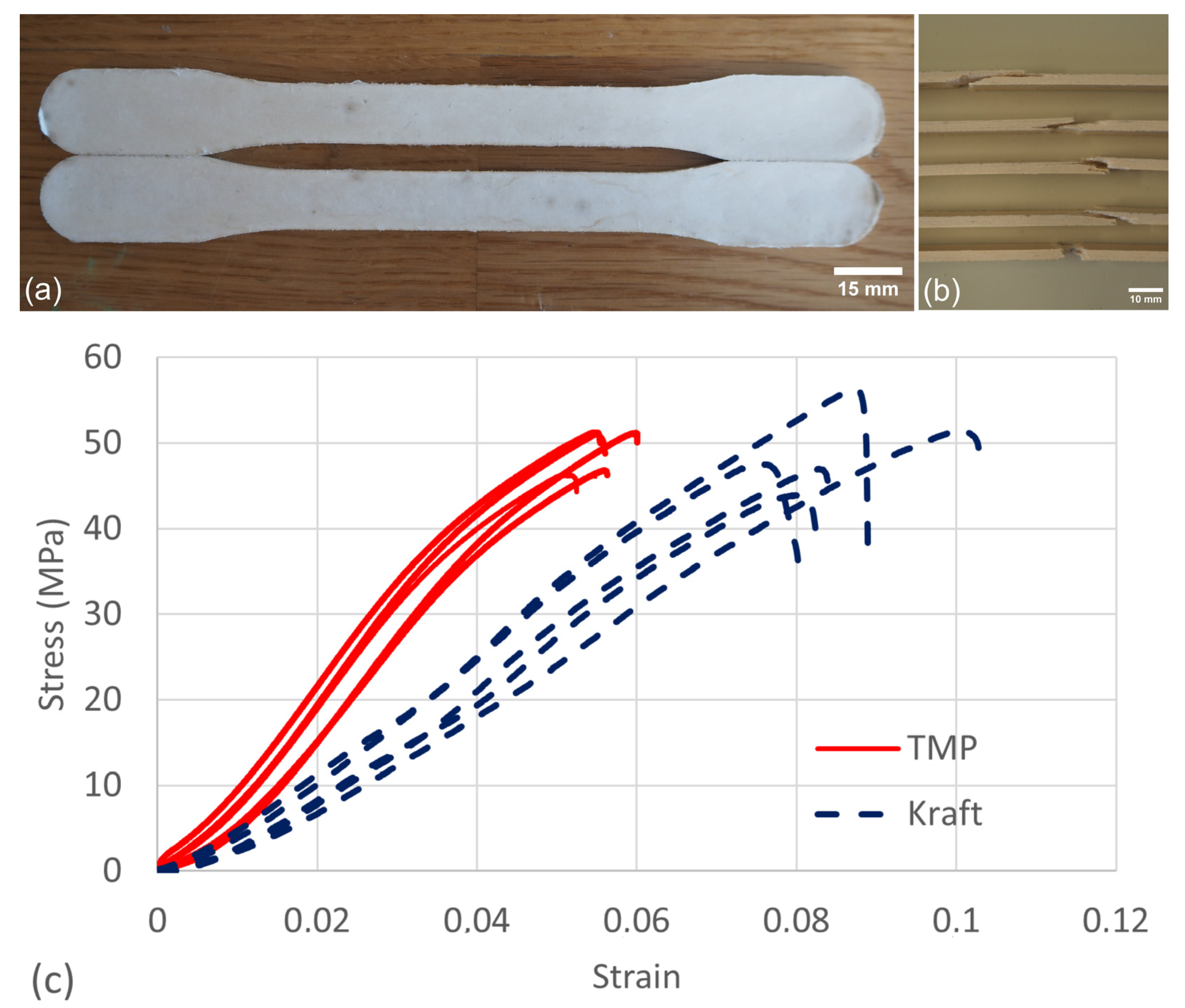 Nanomaterials 13 02511 g007