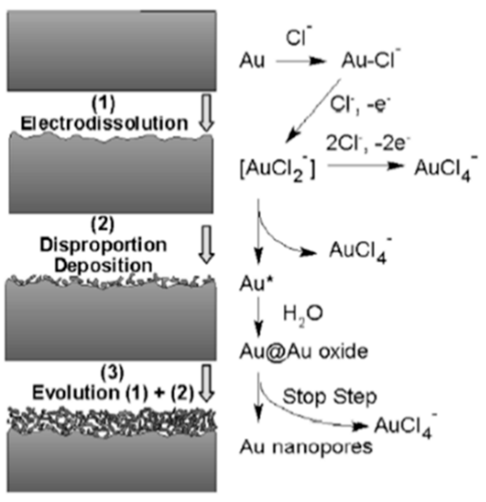 Nanomaterials 13 02515 g003 Nanomaterials 13 02515 g003