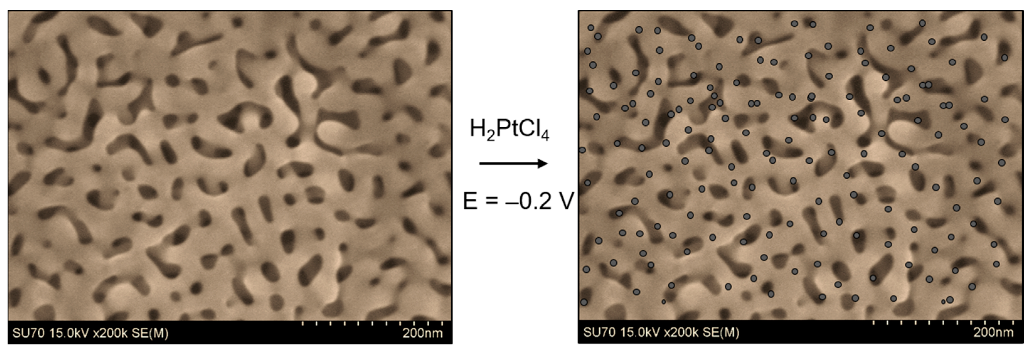 Nanomaterials 13 02515 g004 Nanomaterials 13 02515 g004