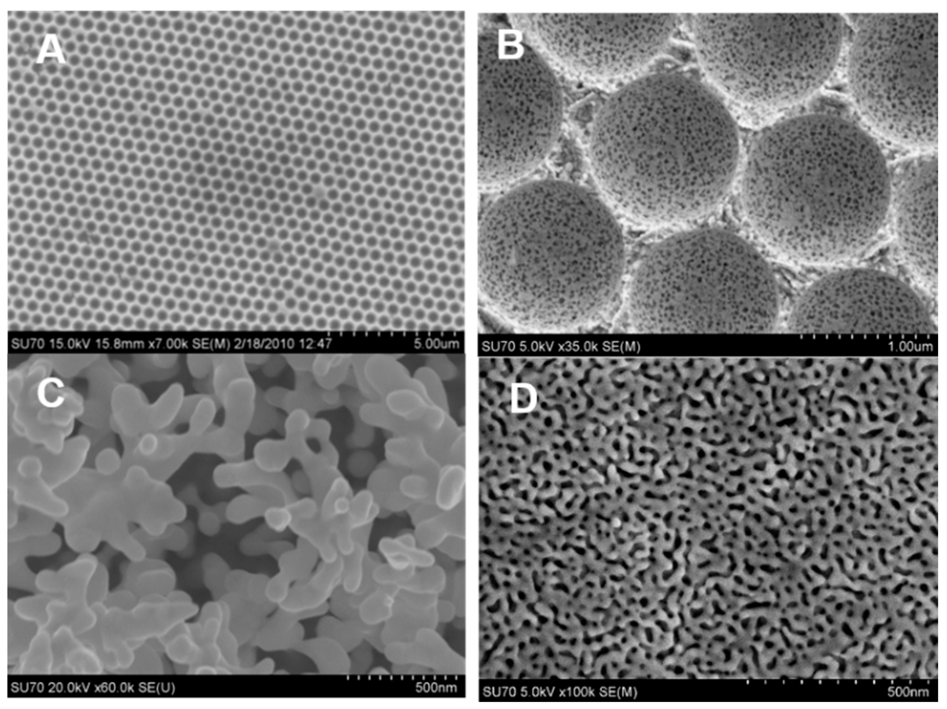 Nanomaterials 13 02515 g008 Nanomaterials 13 02515 g008