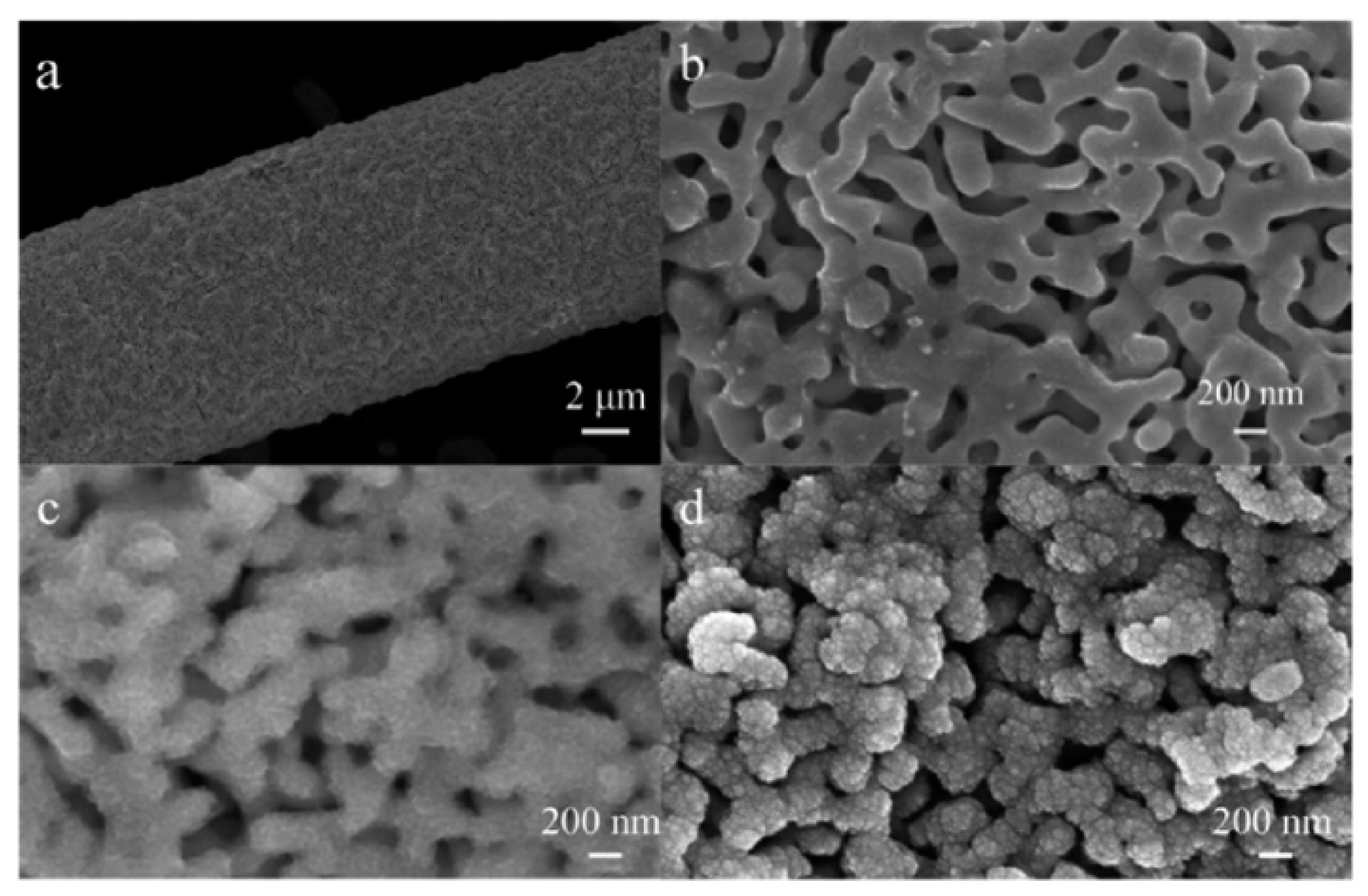 Nanomaterials 13 02515 g010 Nanomaterials 13 02515 g010