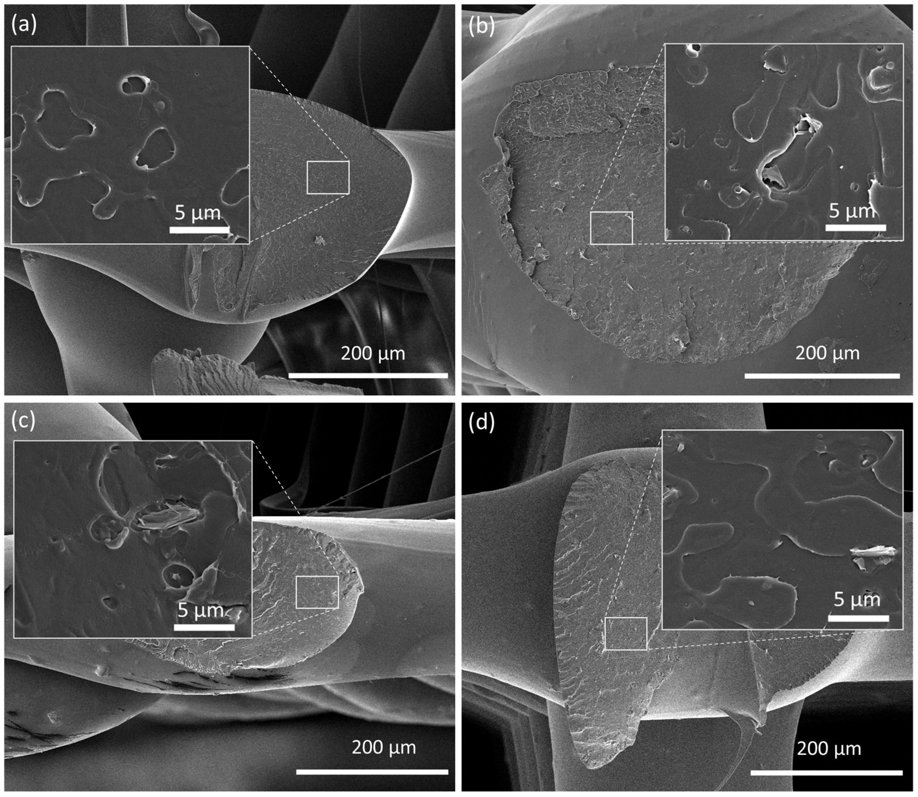 Nanomaterials 13 02518 g004