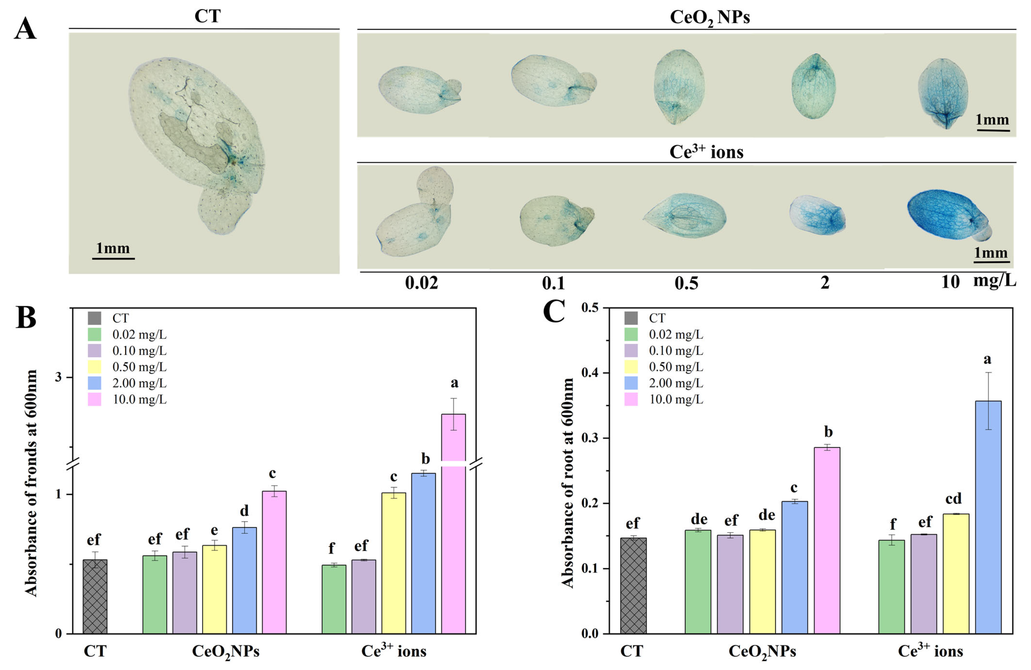 Nanomaterials 13 02523 g002