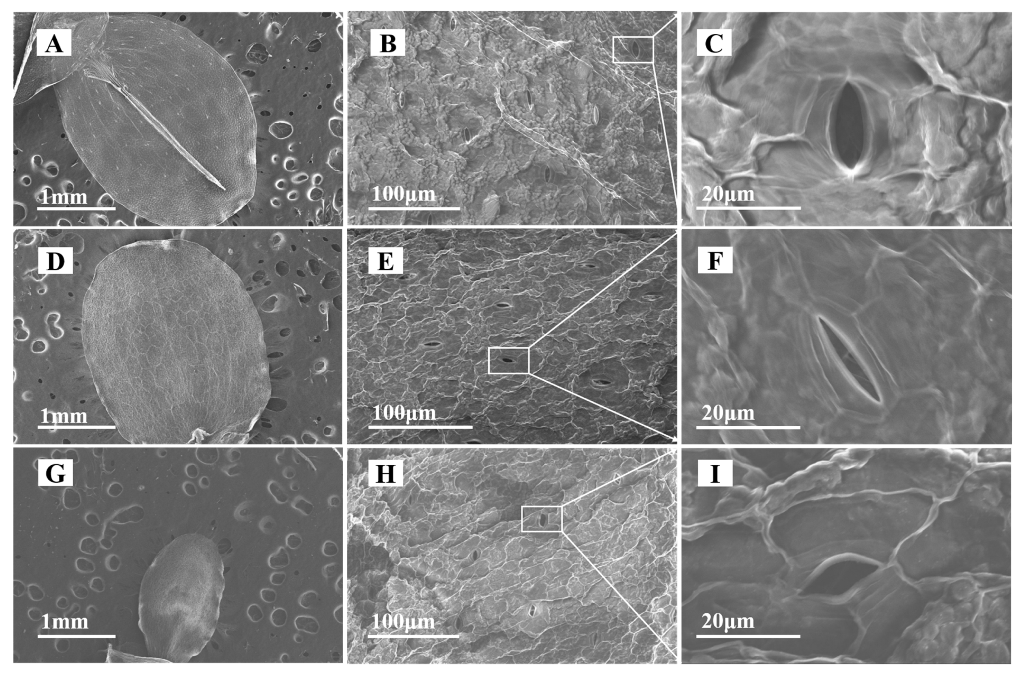 Nanomaterials 13 02523 g003