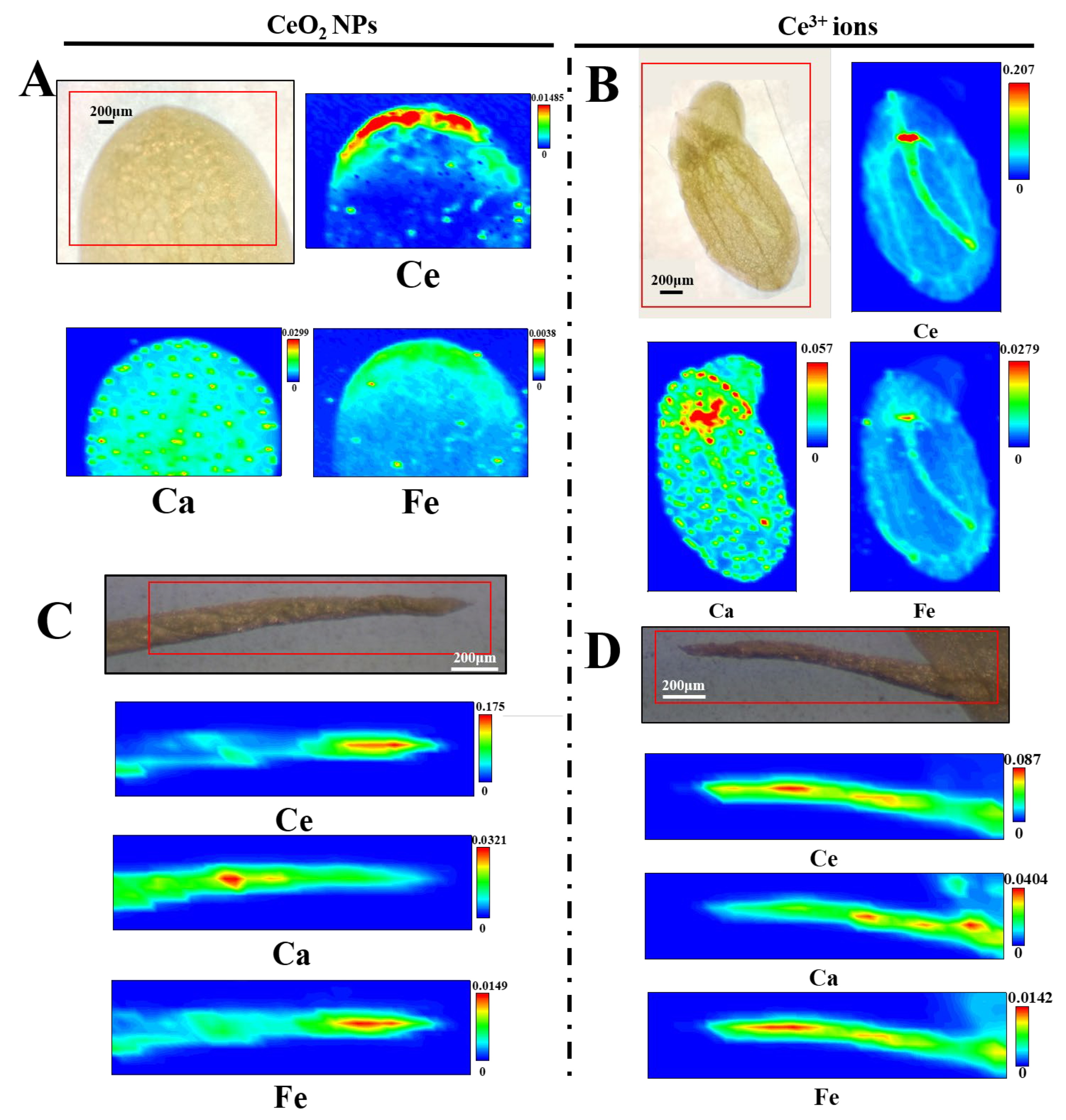 Nanomaterials 13 02523 g004