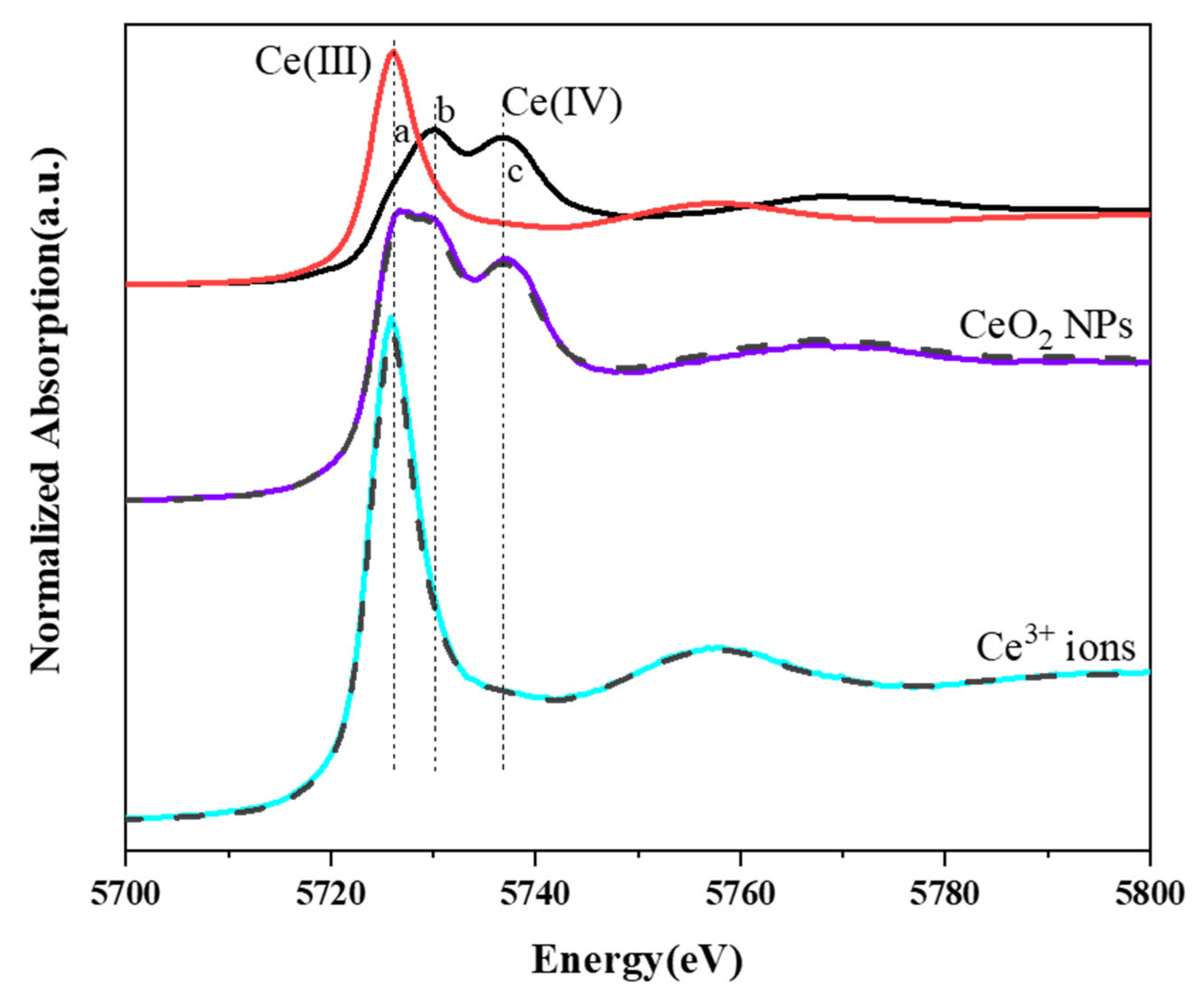 Nanomaterials 13 02523 g005