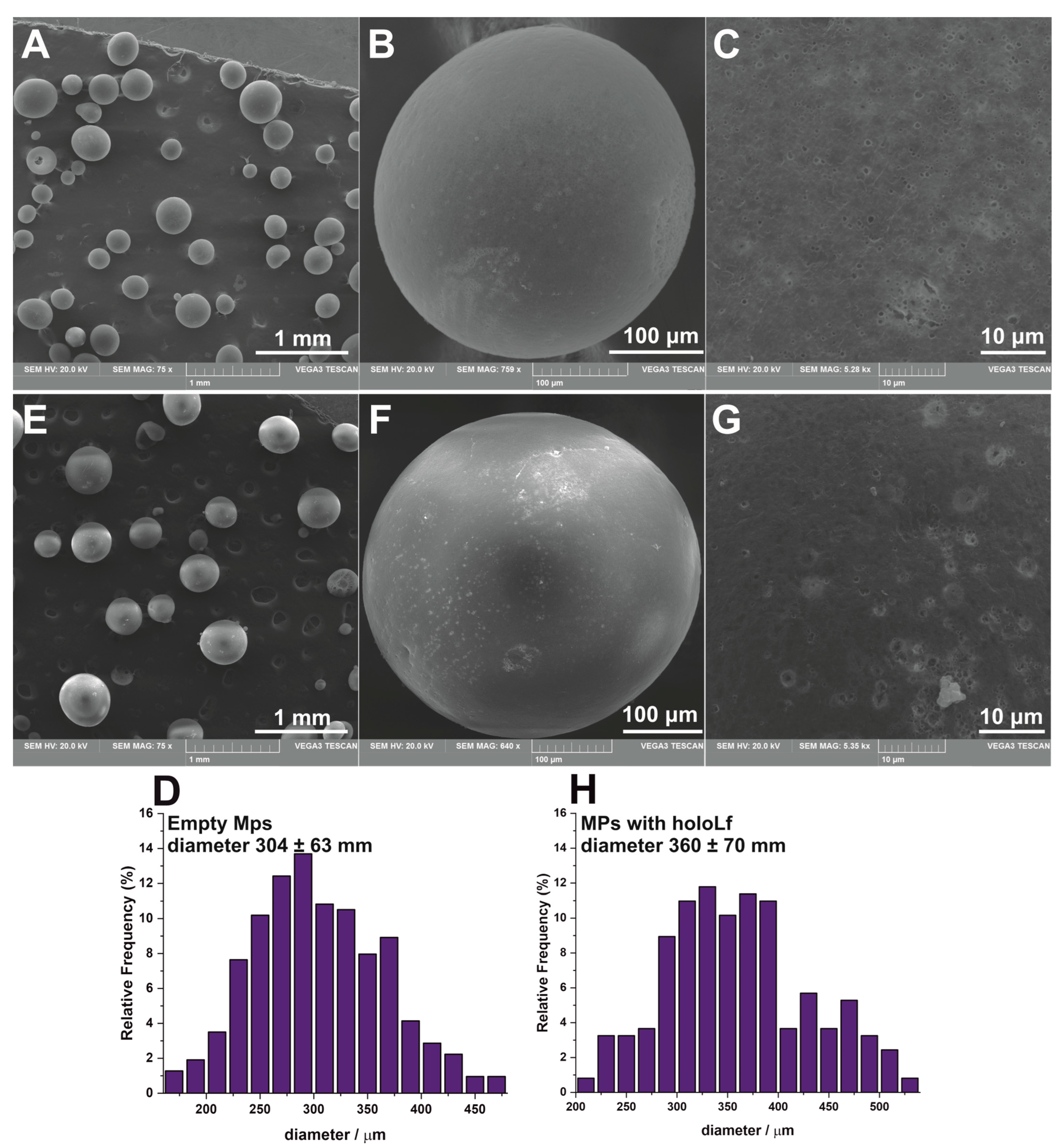 Nanomaterials 13 02524 g001