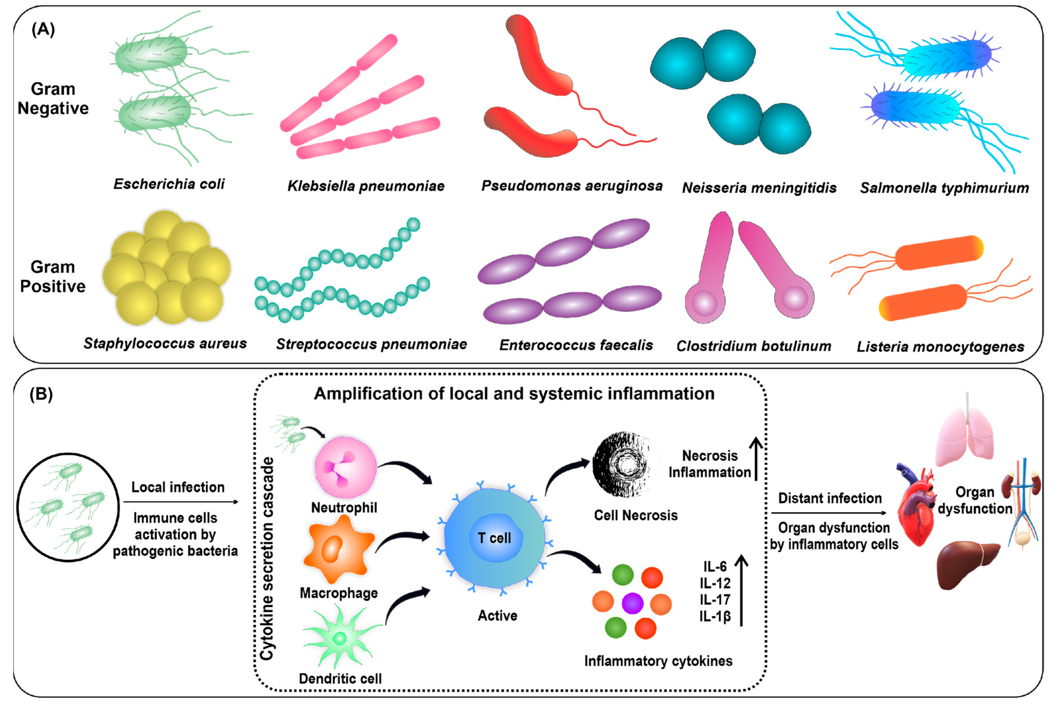 Nanomaterials 13 02529 g001