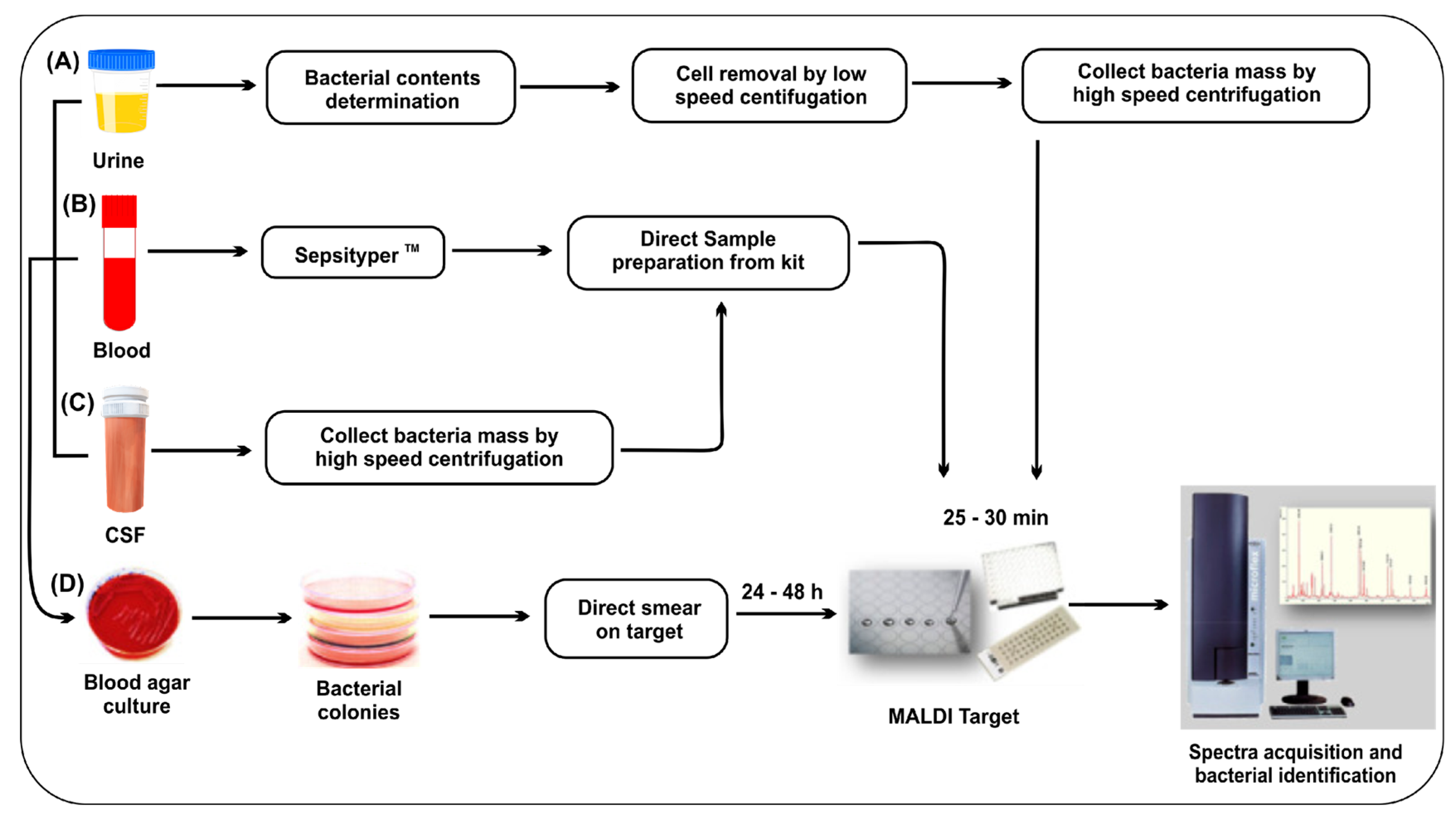 Nanomaterials 13 02529 g003