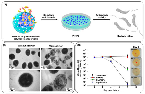 Nanomaterials 13 02529 g005