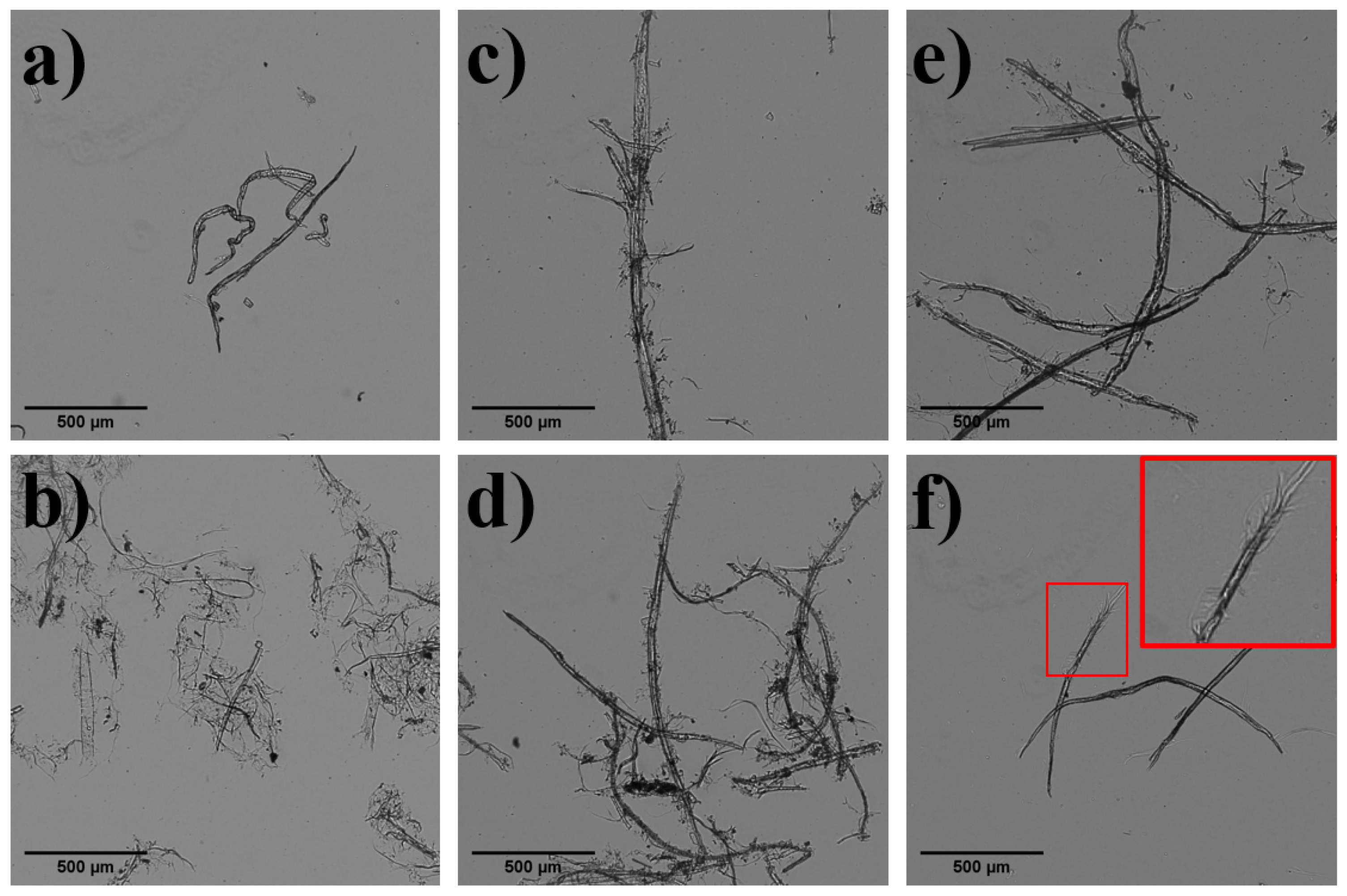 Nanomaterials 13 02536 g002 Nanomaterials 13 02536 g002