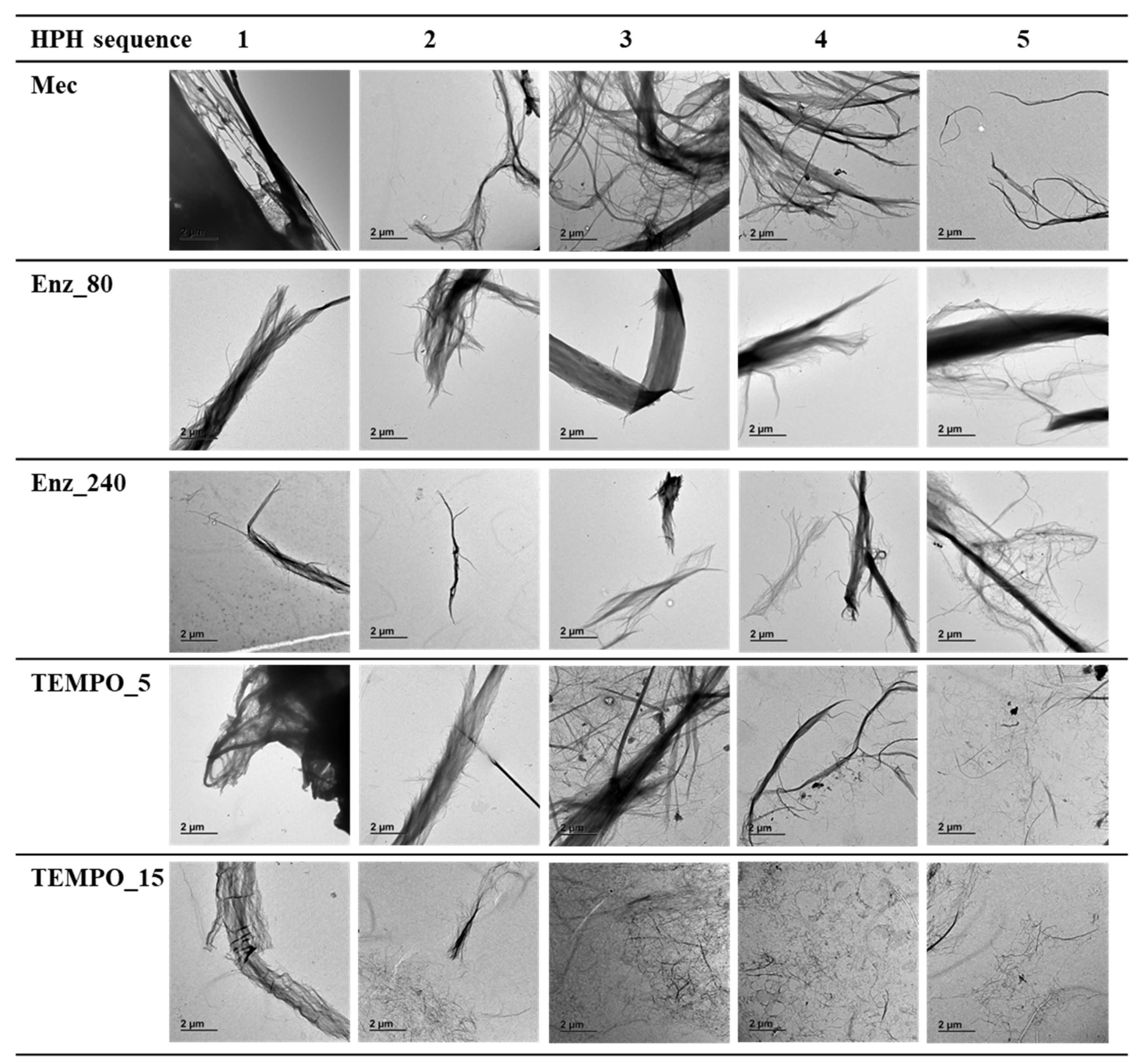 Nanomaterials 13 02536 g004 Nanomaterials 13 02536 g004