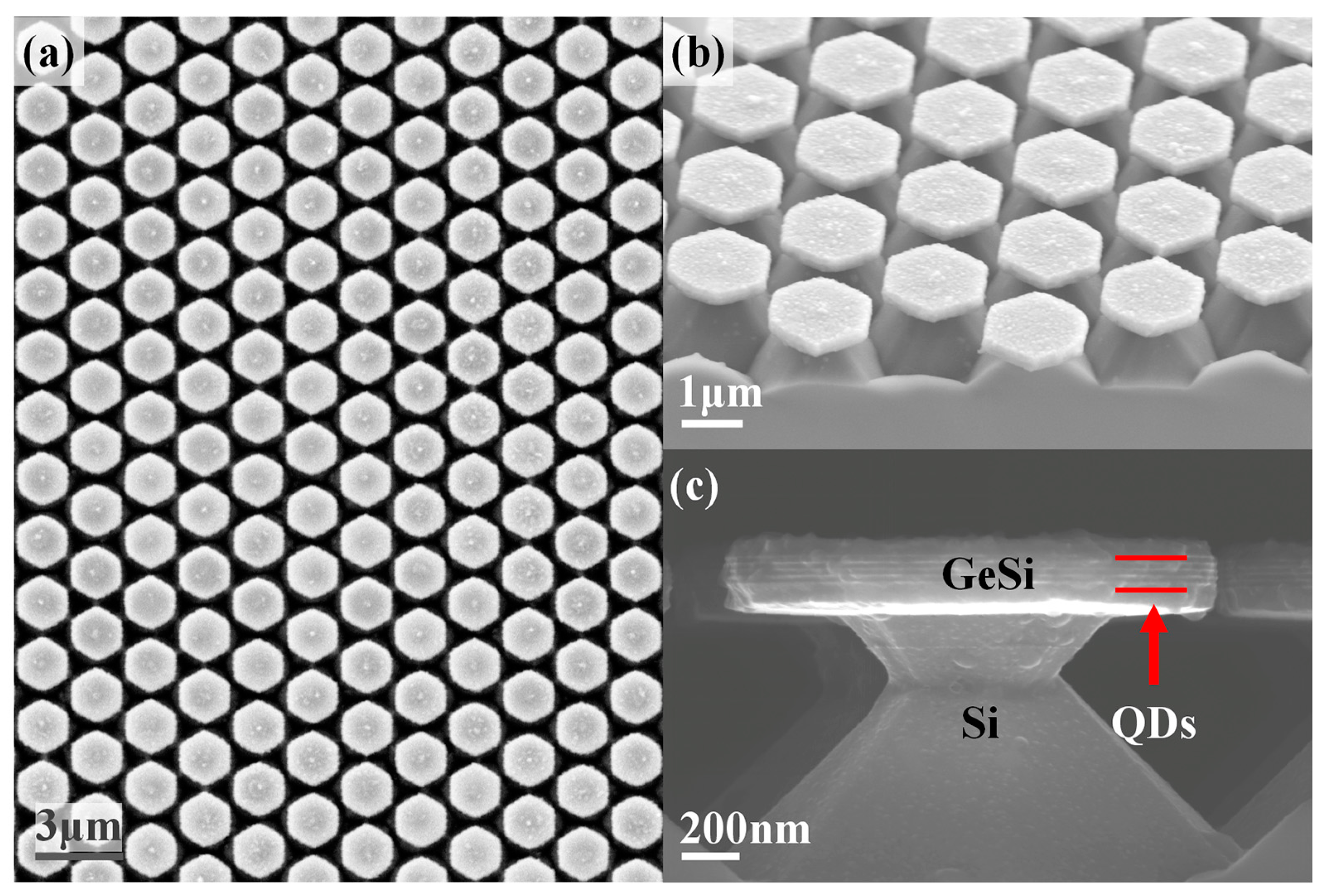 Nanomaterials 13 02553 g003