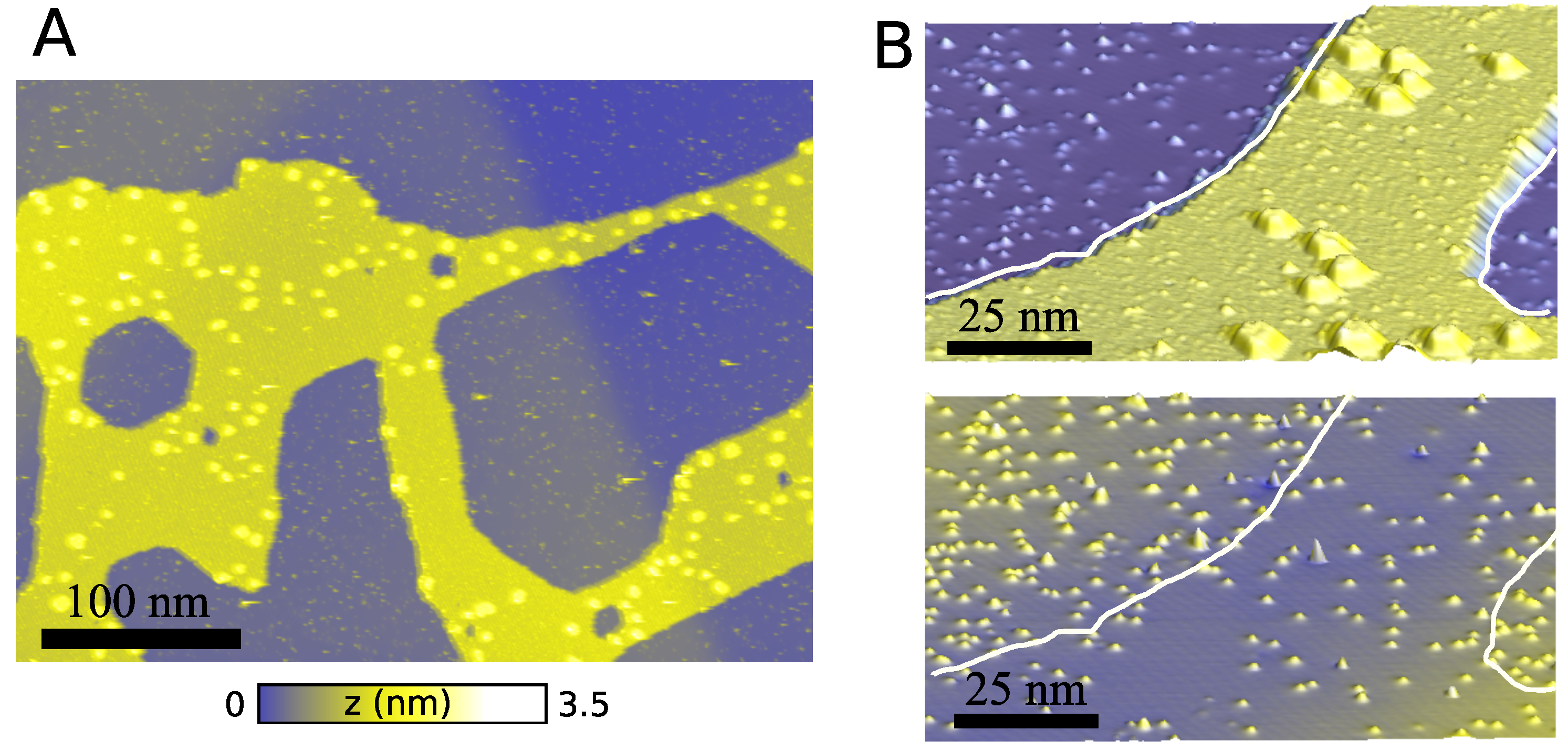 Nanomaterials 13 02556 g001