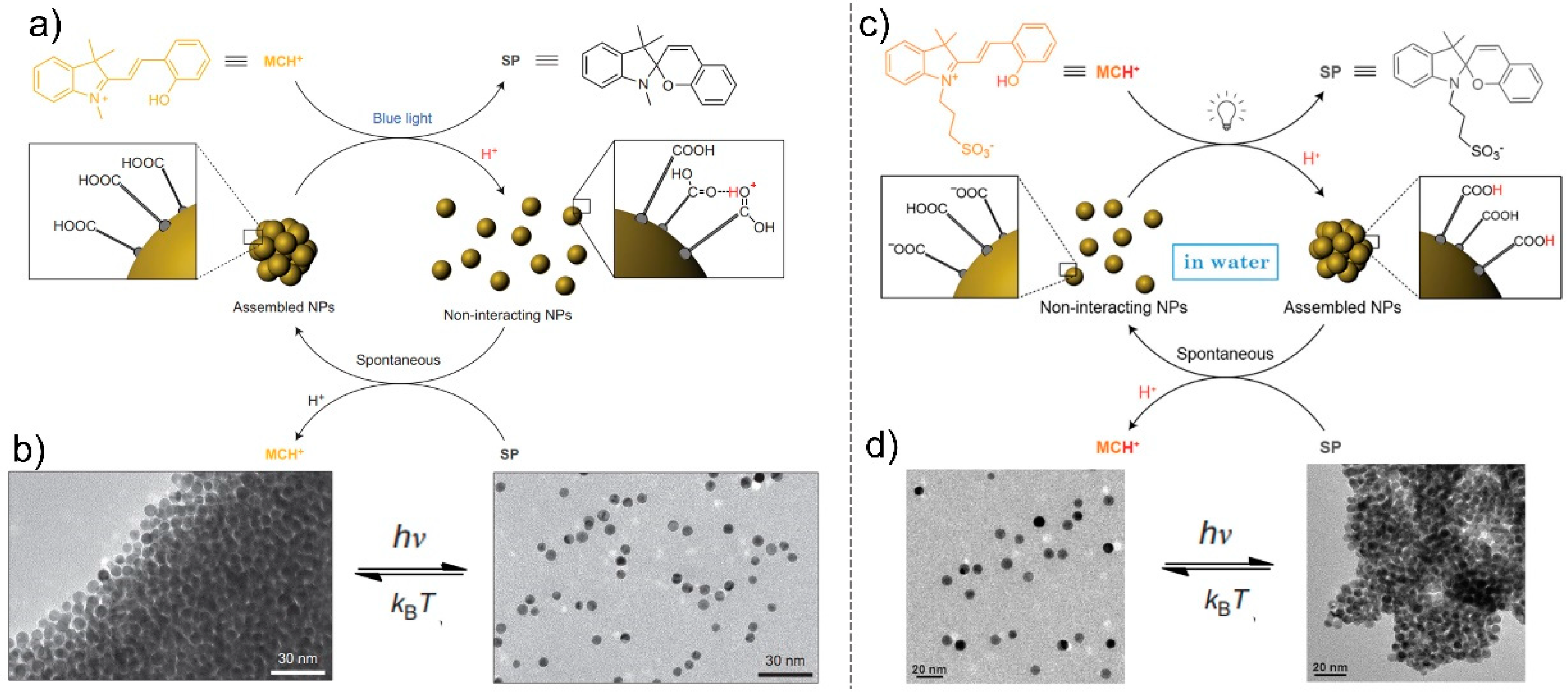 Nanomaterials 13 02562 g006