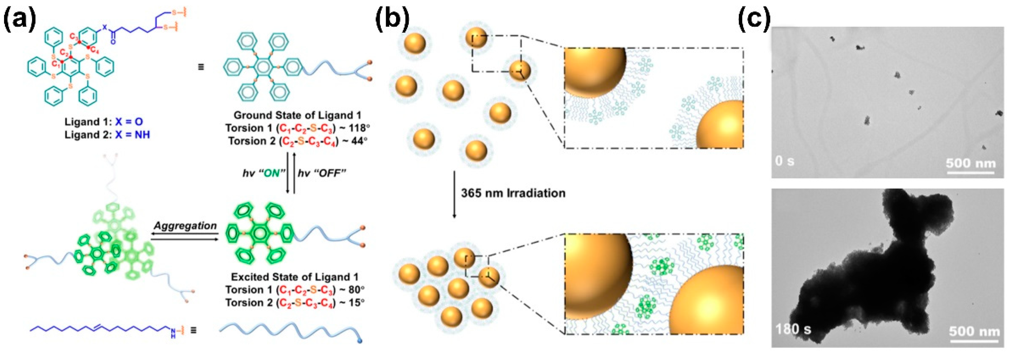 Nanomaterials 13 02562 g008