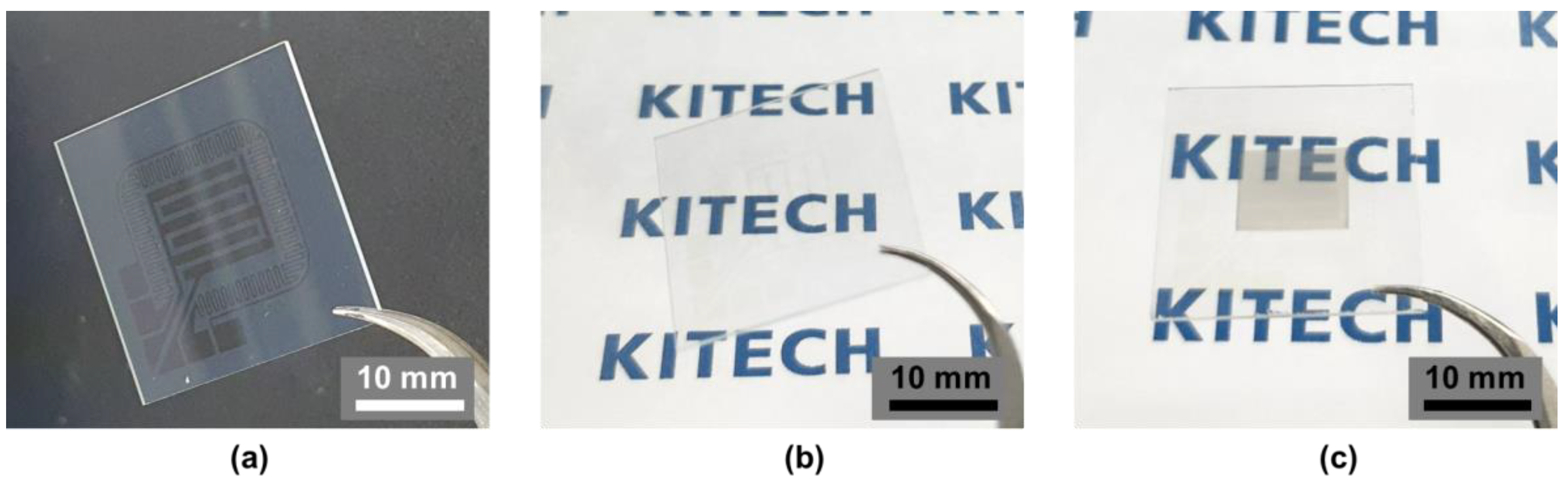 Nanomaterials 13 02563 g002