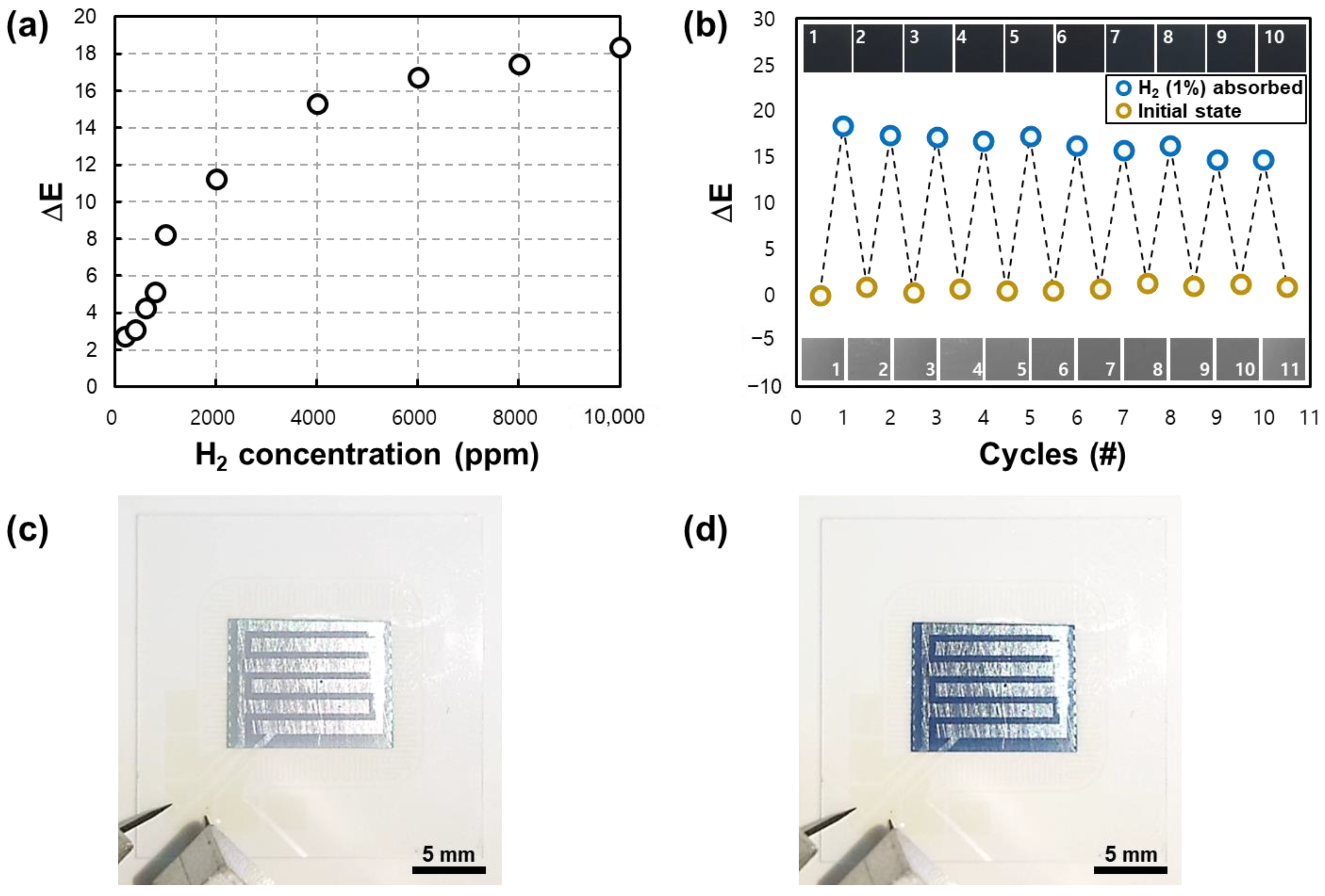 Nanomaterials 13 02563 g010
