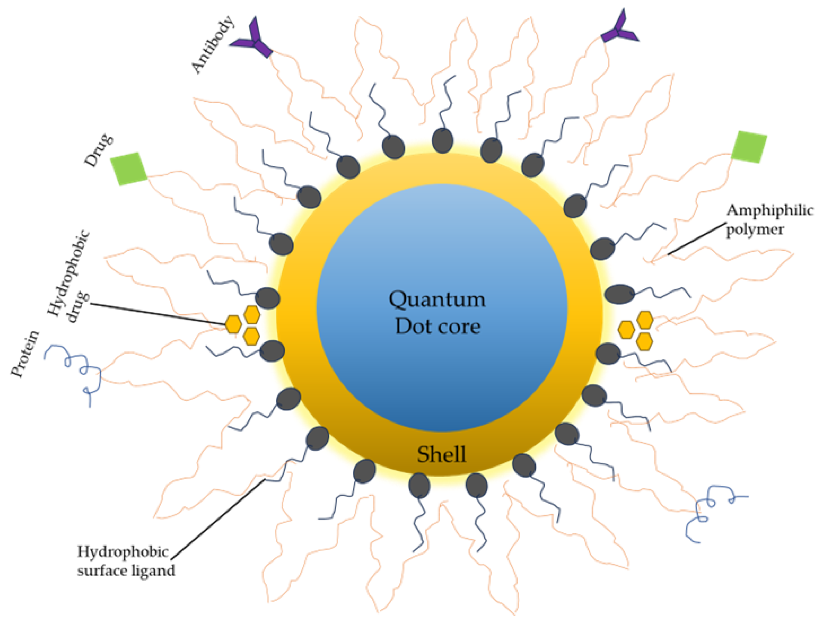 Nanomaterials 13 02566 g003