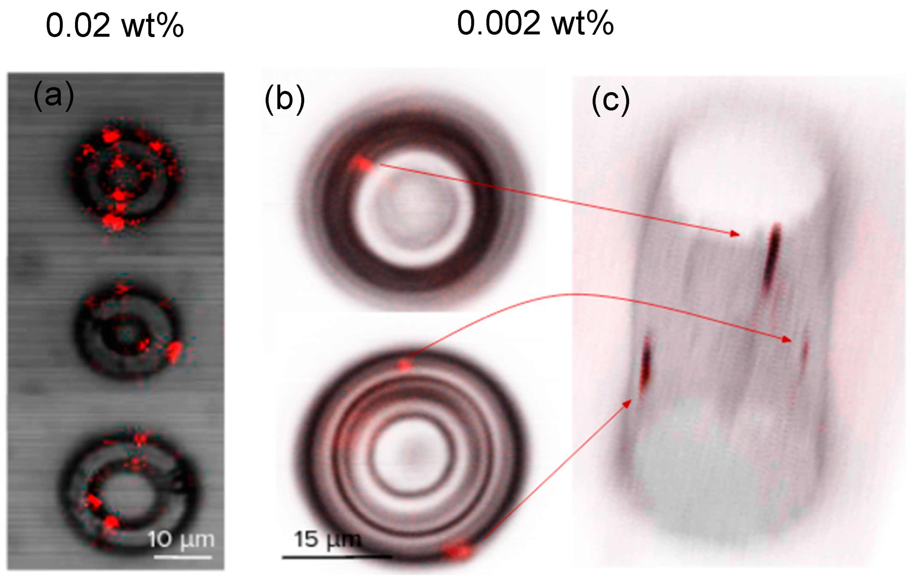 Nanomaterials 13 02571 g004