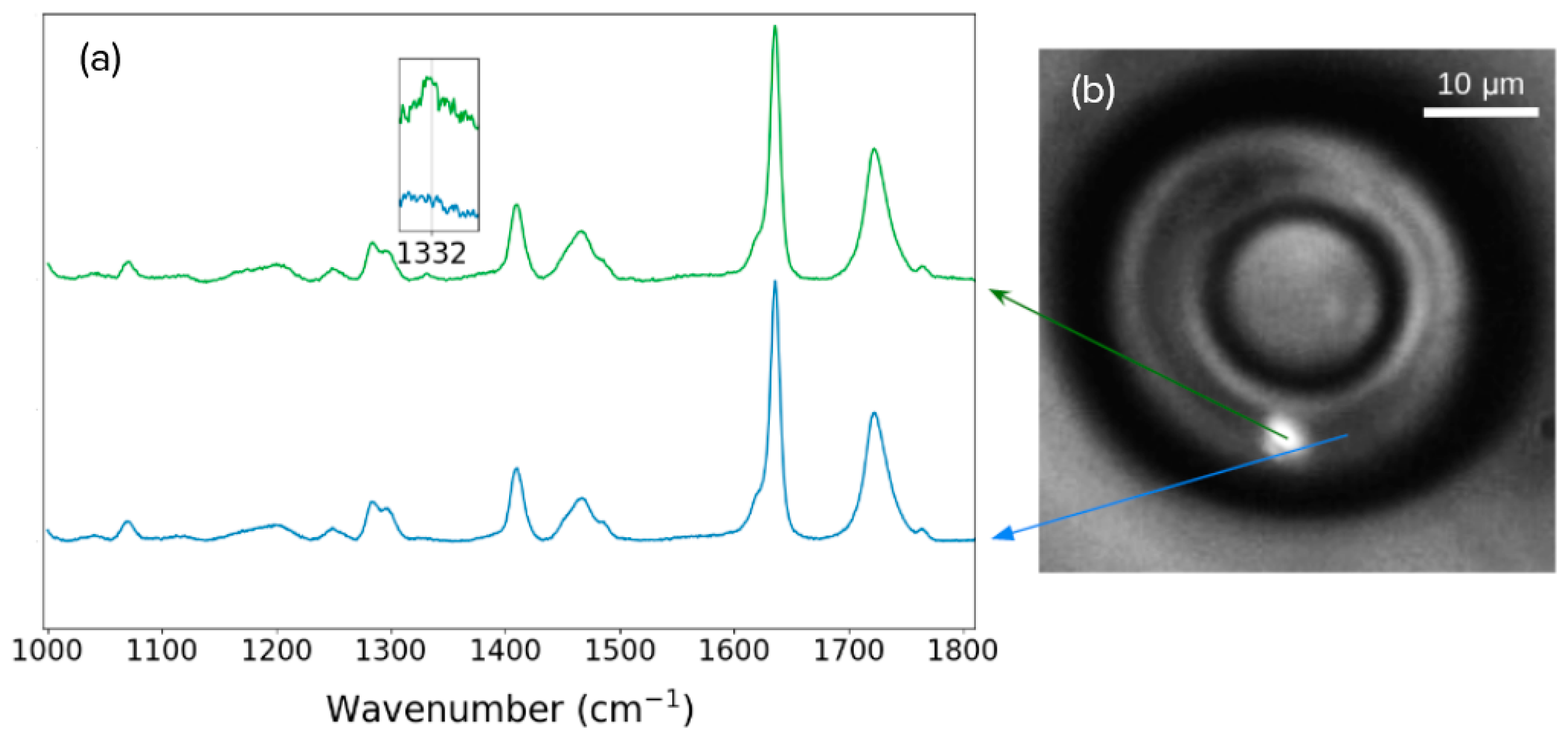 Nanomaterials 13 02571 g006