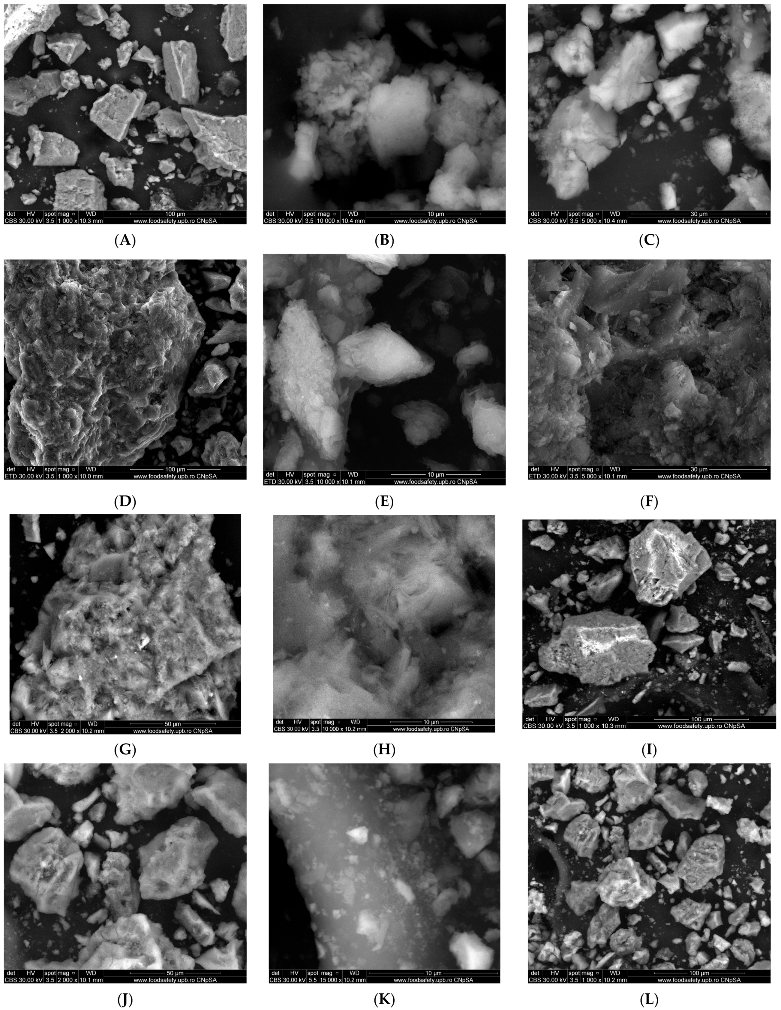 Nanomaterials 13 02572 g002