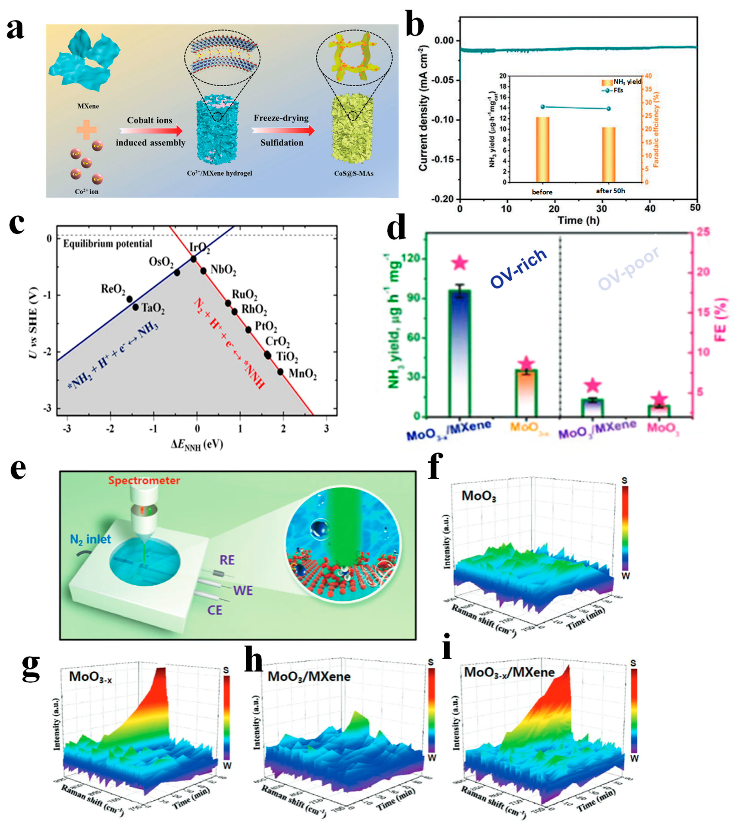 Nanomaterials 13 02580 g007