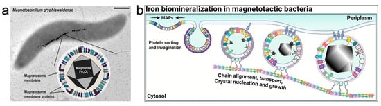 Nanomaterials 13 02585 g001
