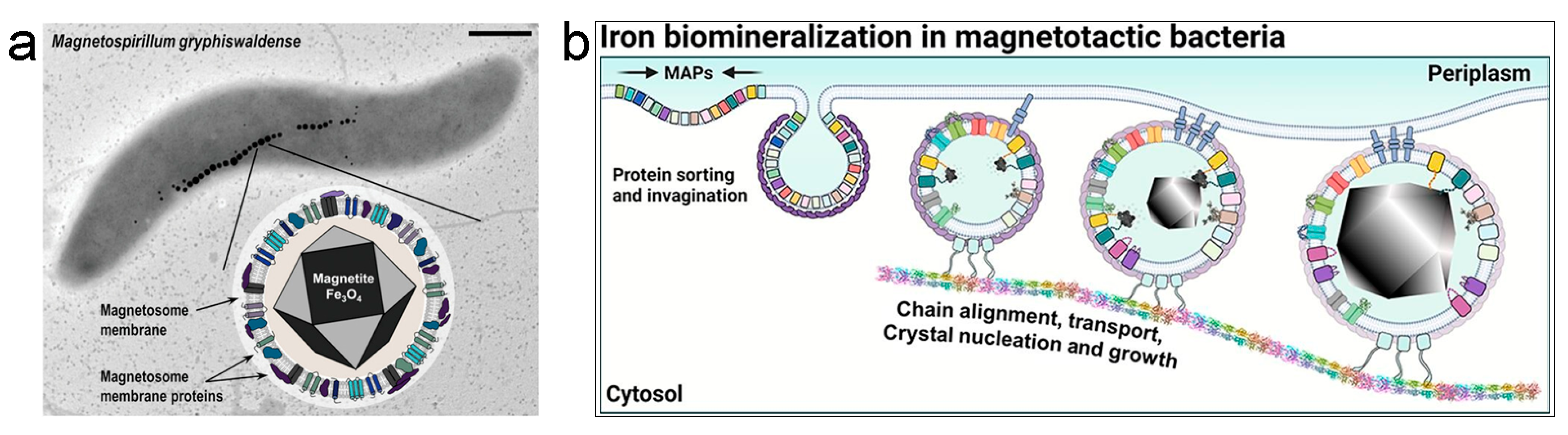 Nanomaterials 13 02585 g001