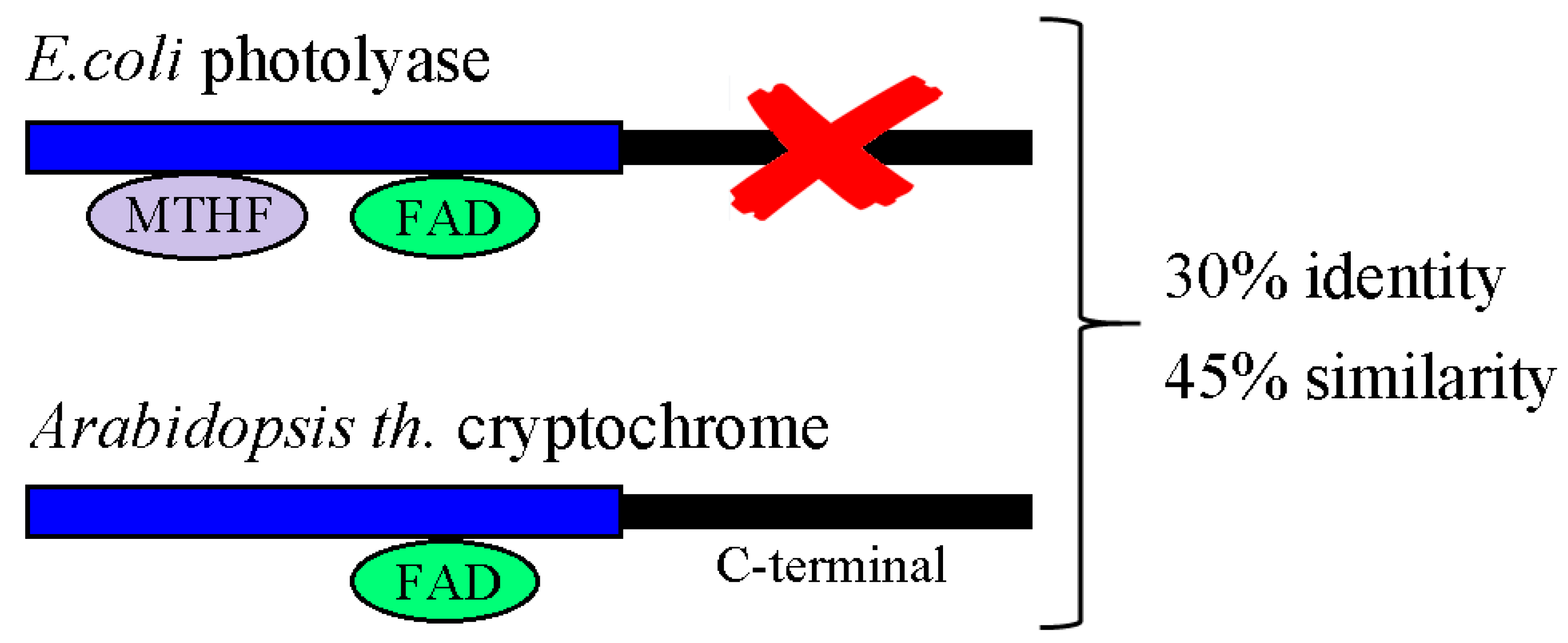Nanomaterials 13 02585 g003