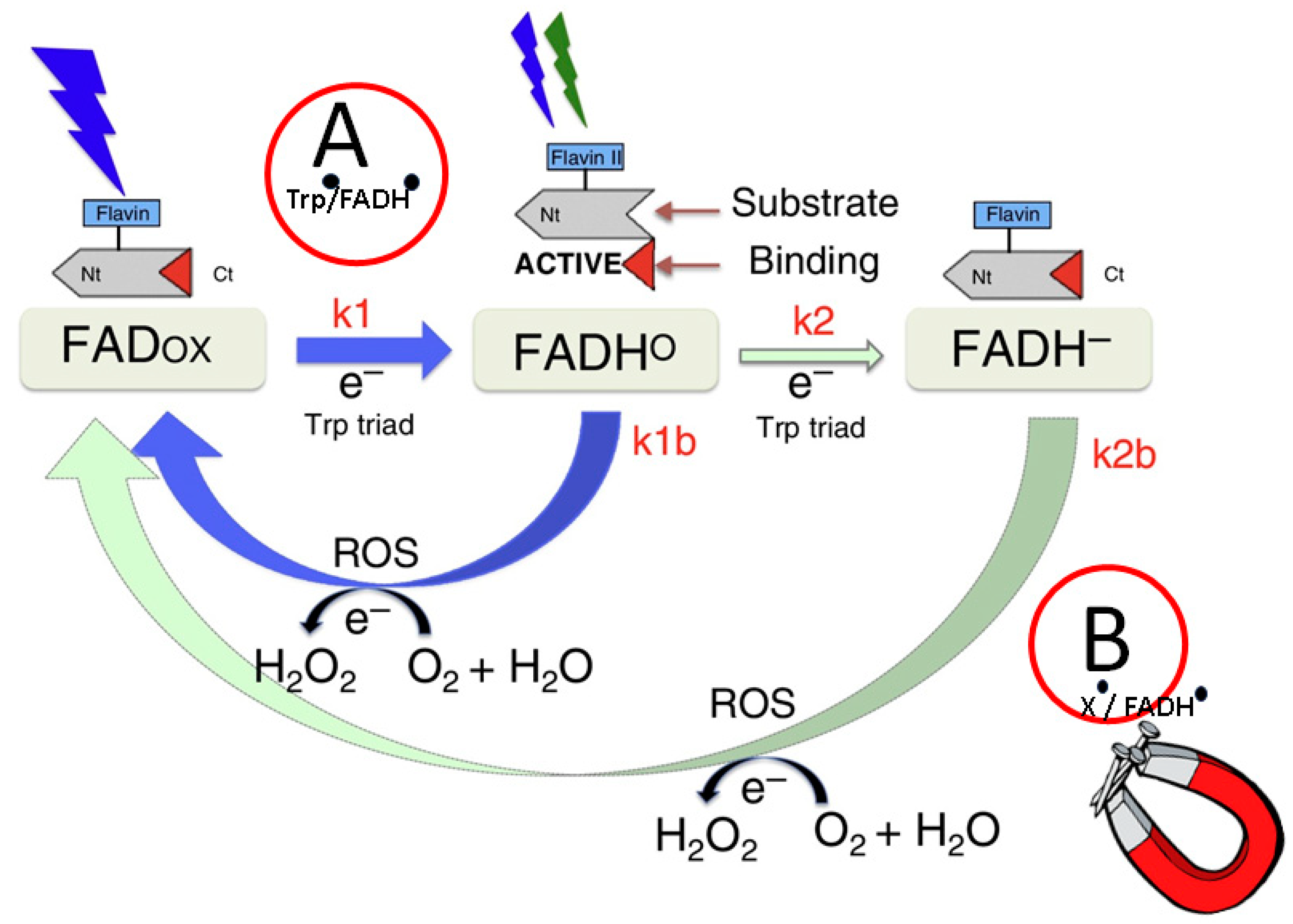 Nanomaterials 13 02585 g004