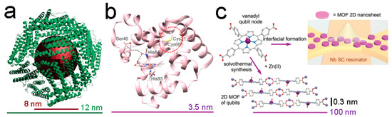 Nanomaterials 13 02585 g005