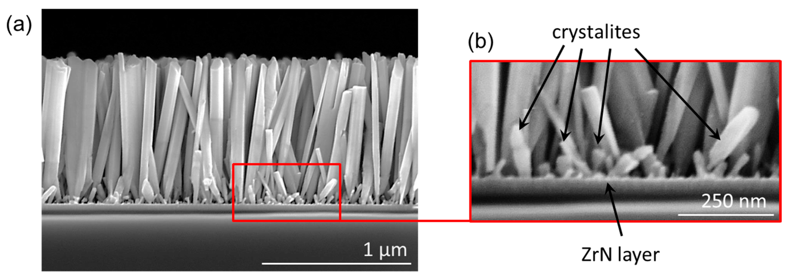Nanomaterials 13 02587 g002