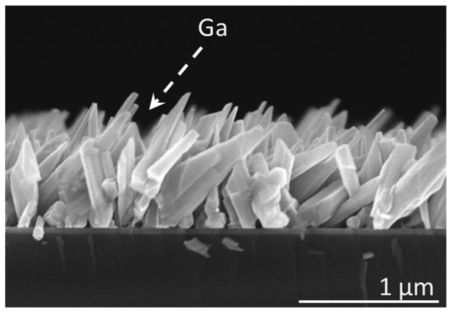 Nanomaterials 13 02587 g003