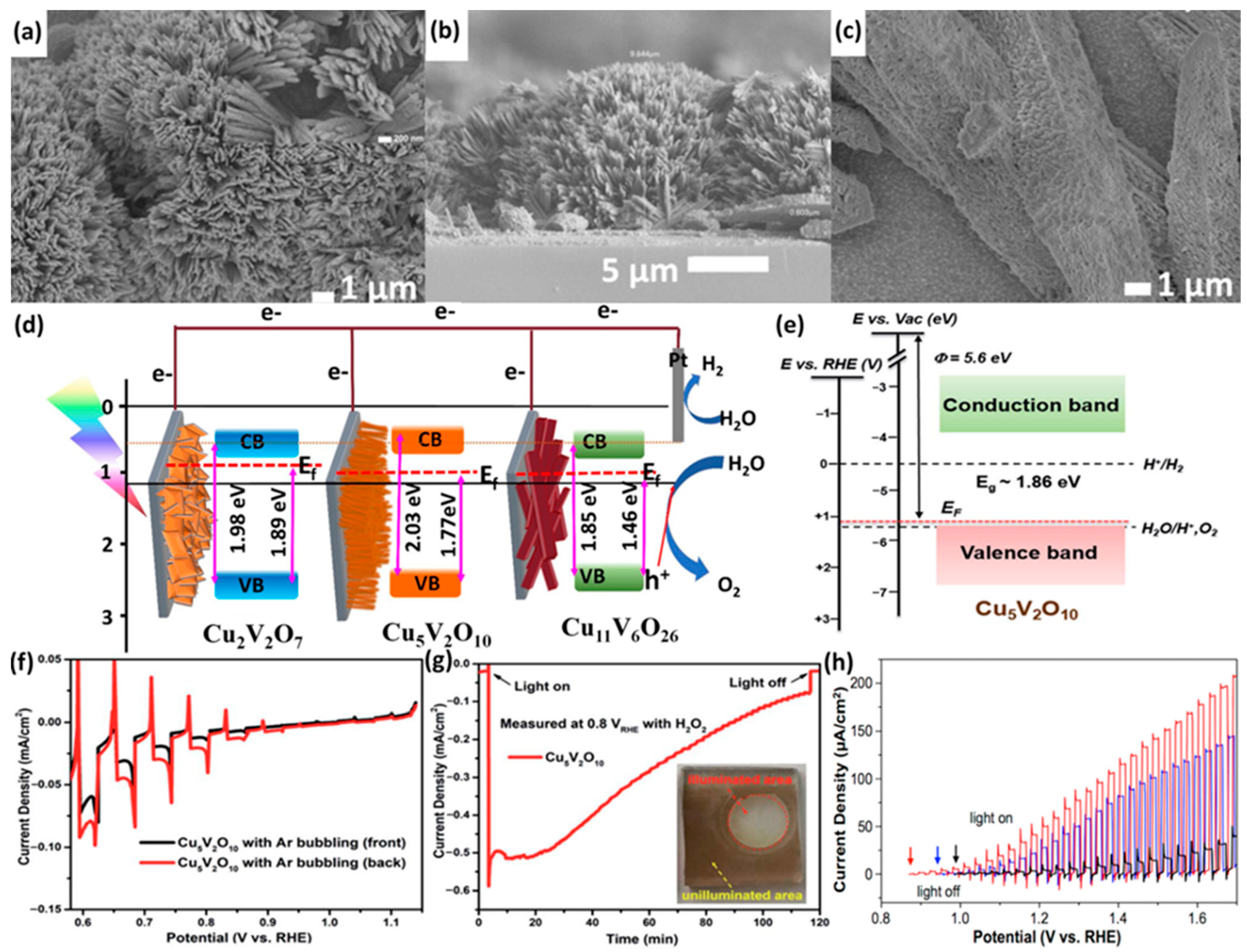 Nanomaterials 13 02599 g010