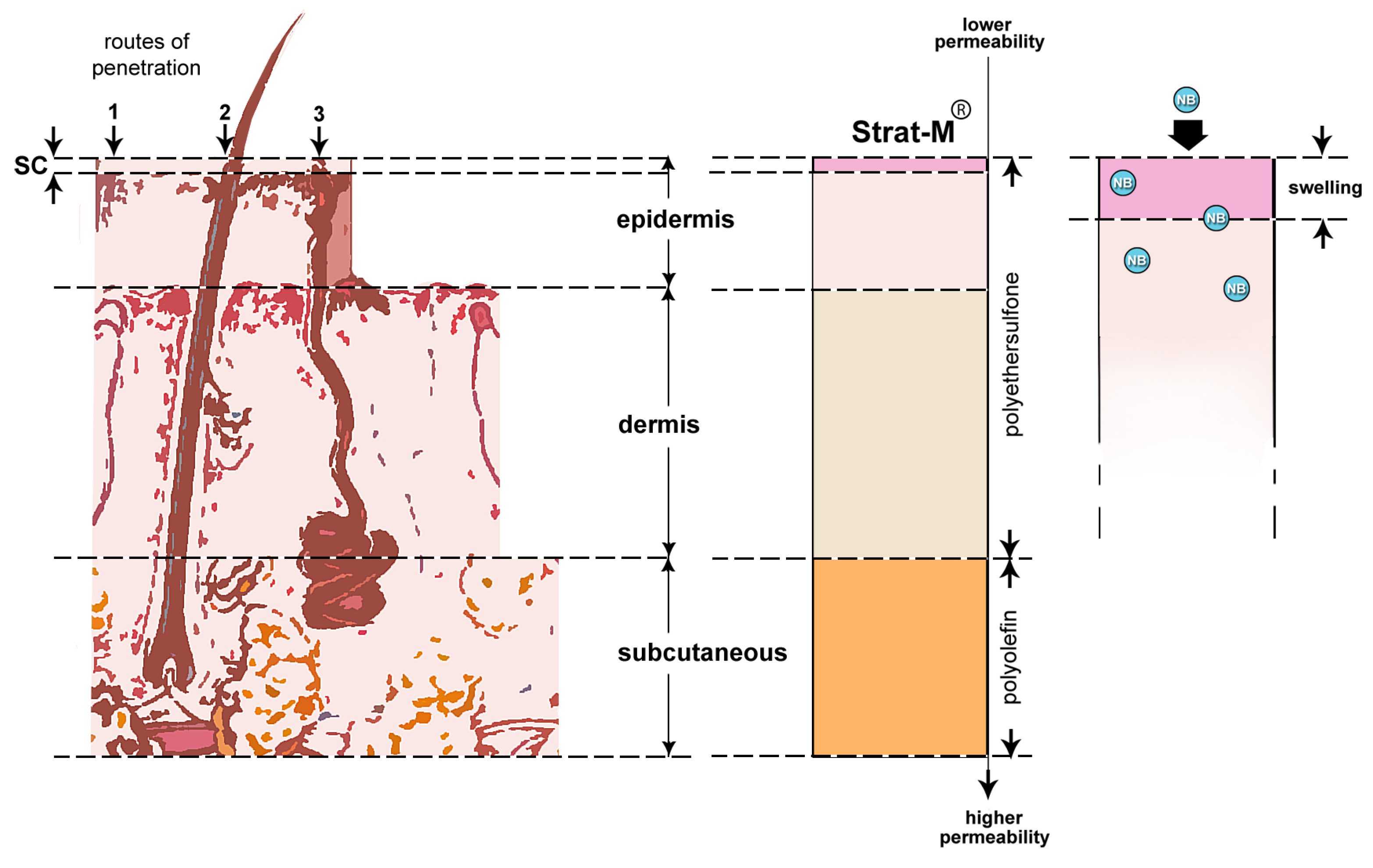 Nanomaterials 13 02600 g007