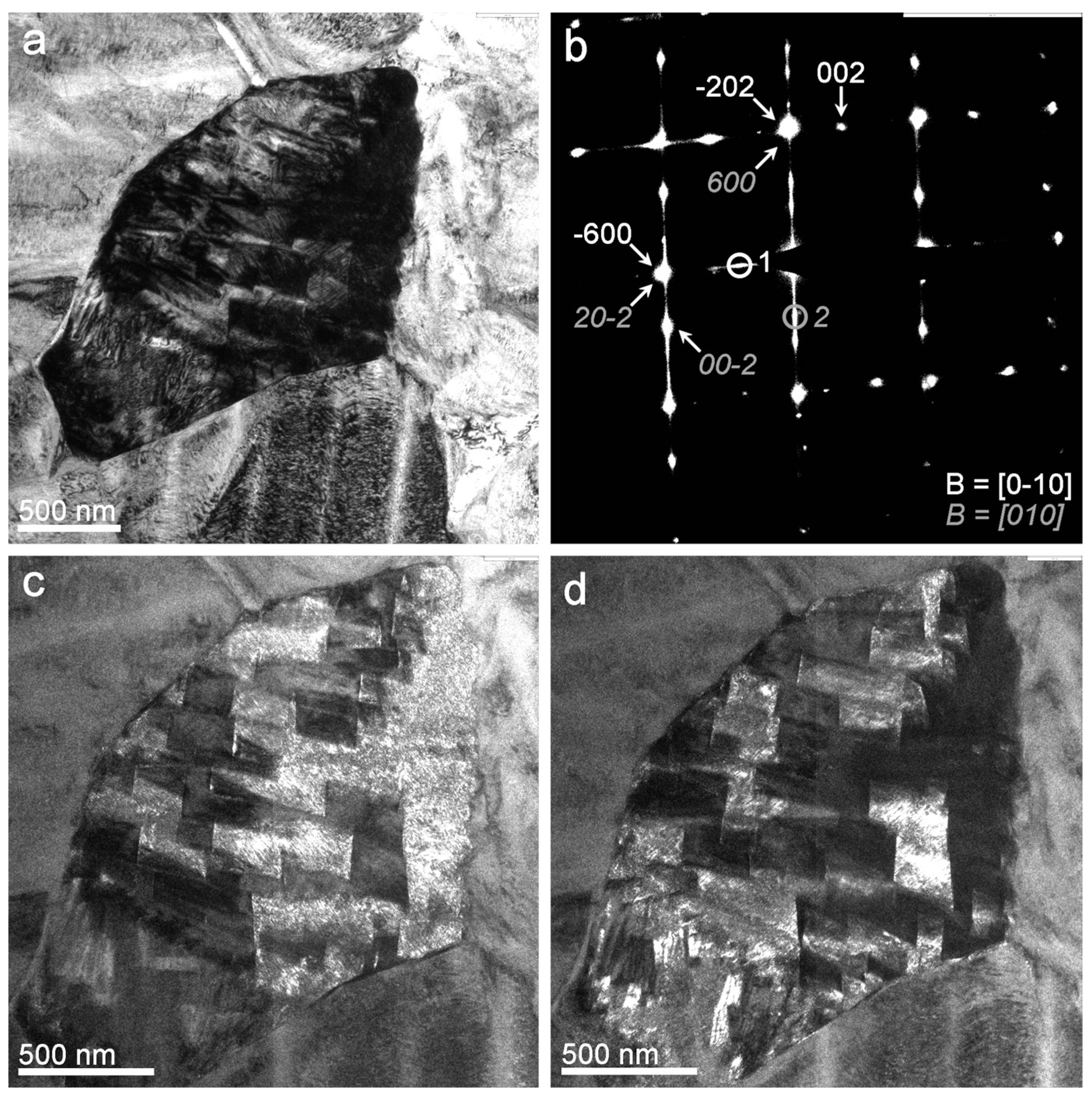Nanomaterials 13 02605 g007