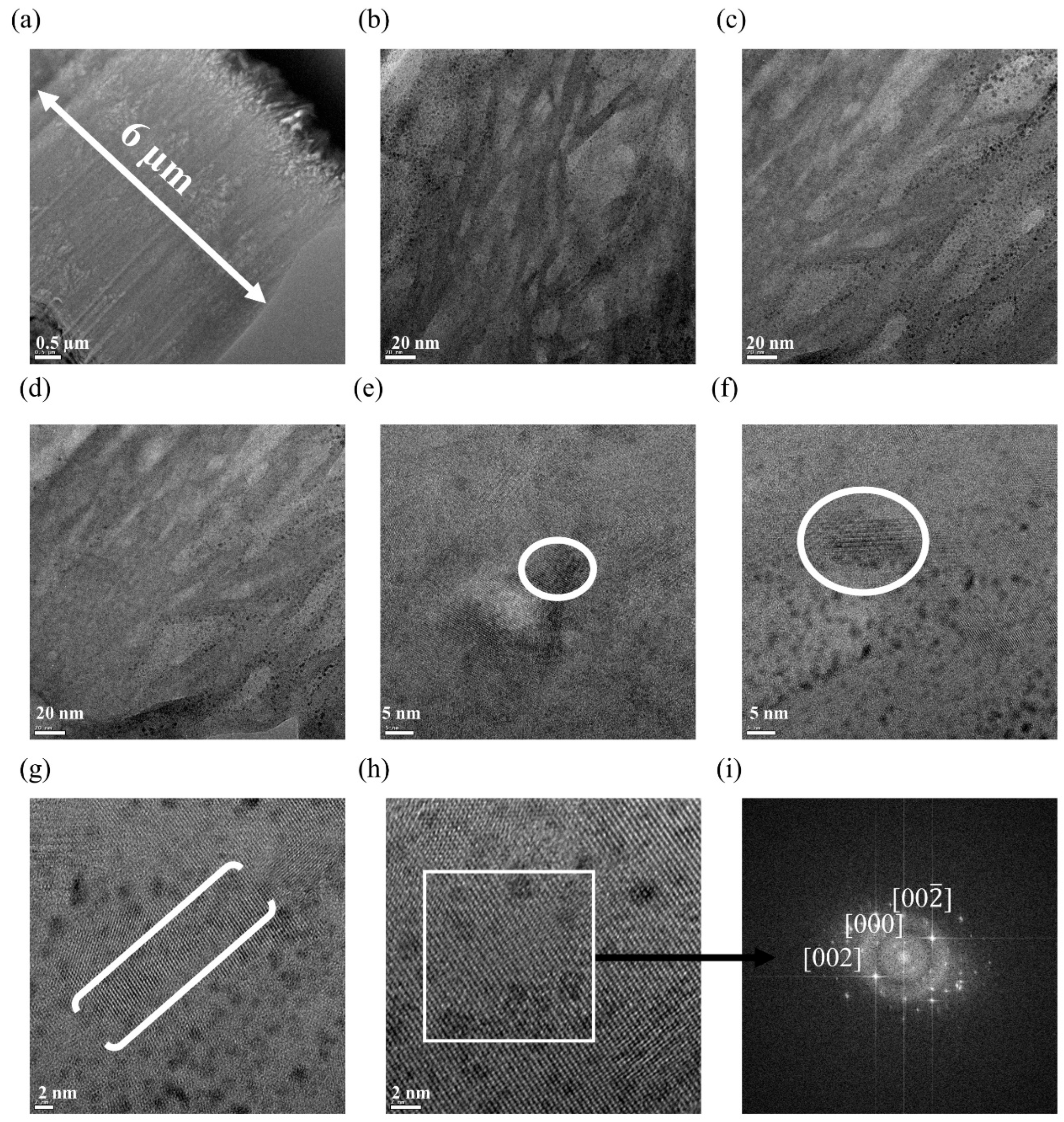 Nanomaterials 13 02606 g003 Nanomaterials 13 02606 g003