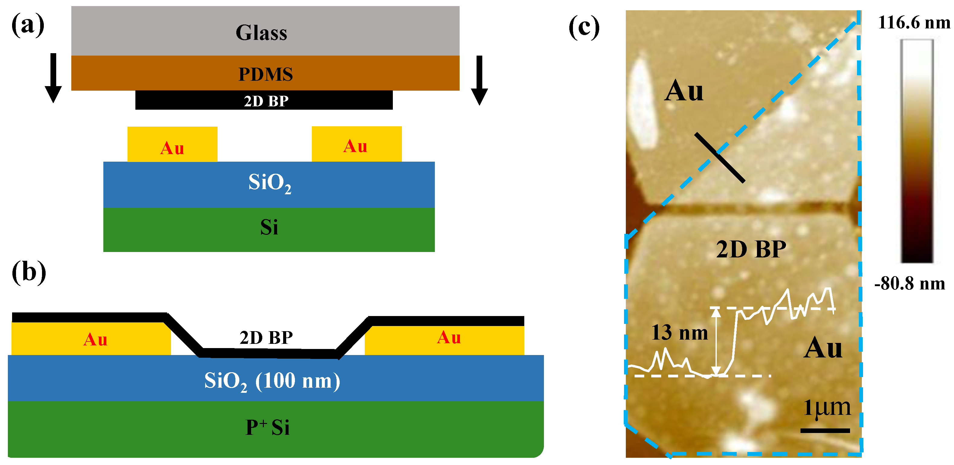 Nanomaterials 13 02607 g002