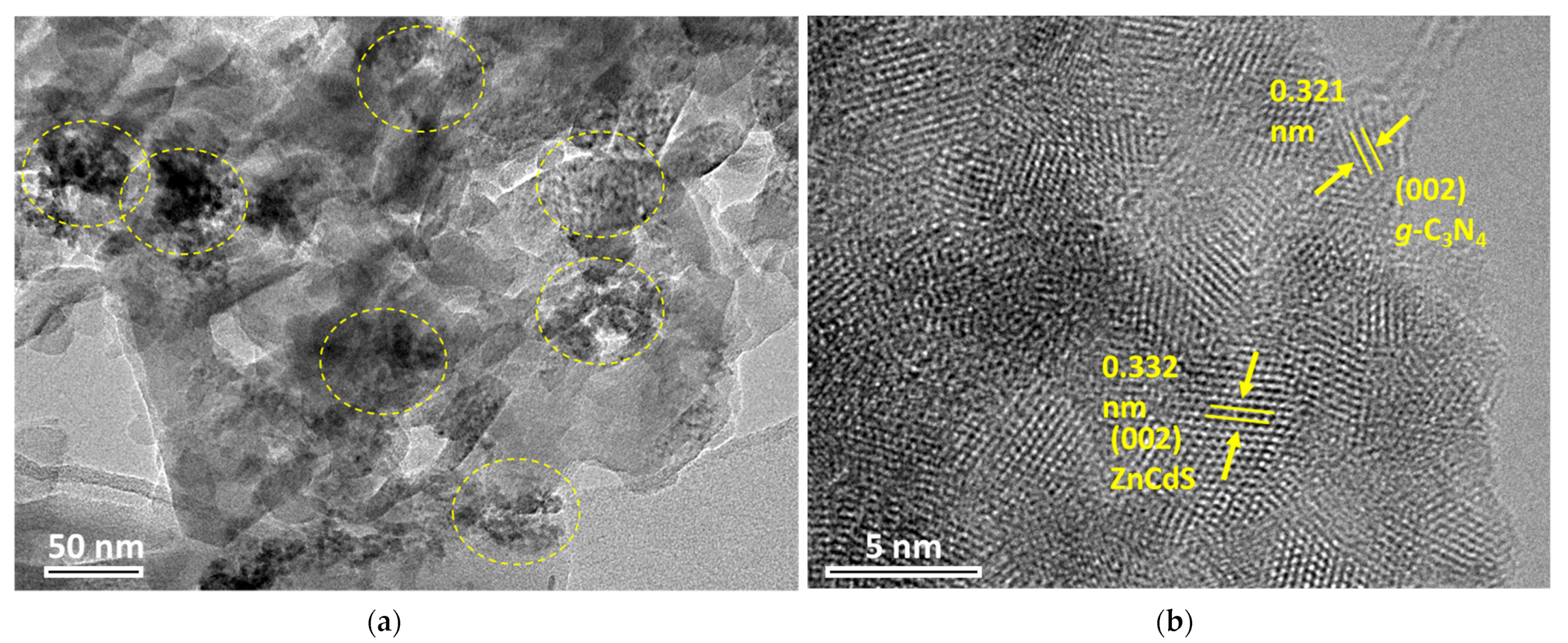 Nanomaterials 13 02609 g001