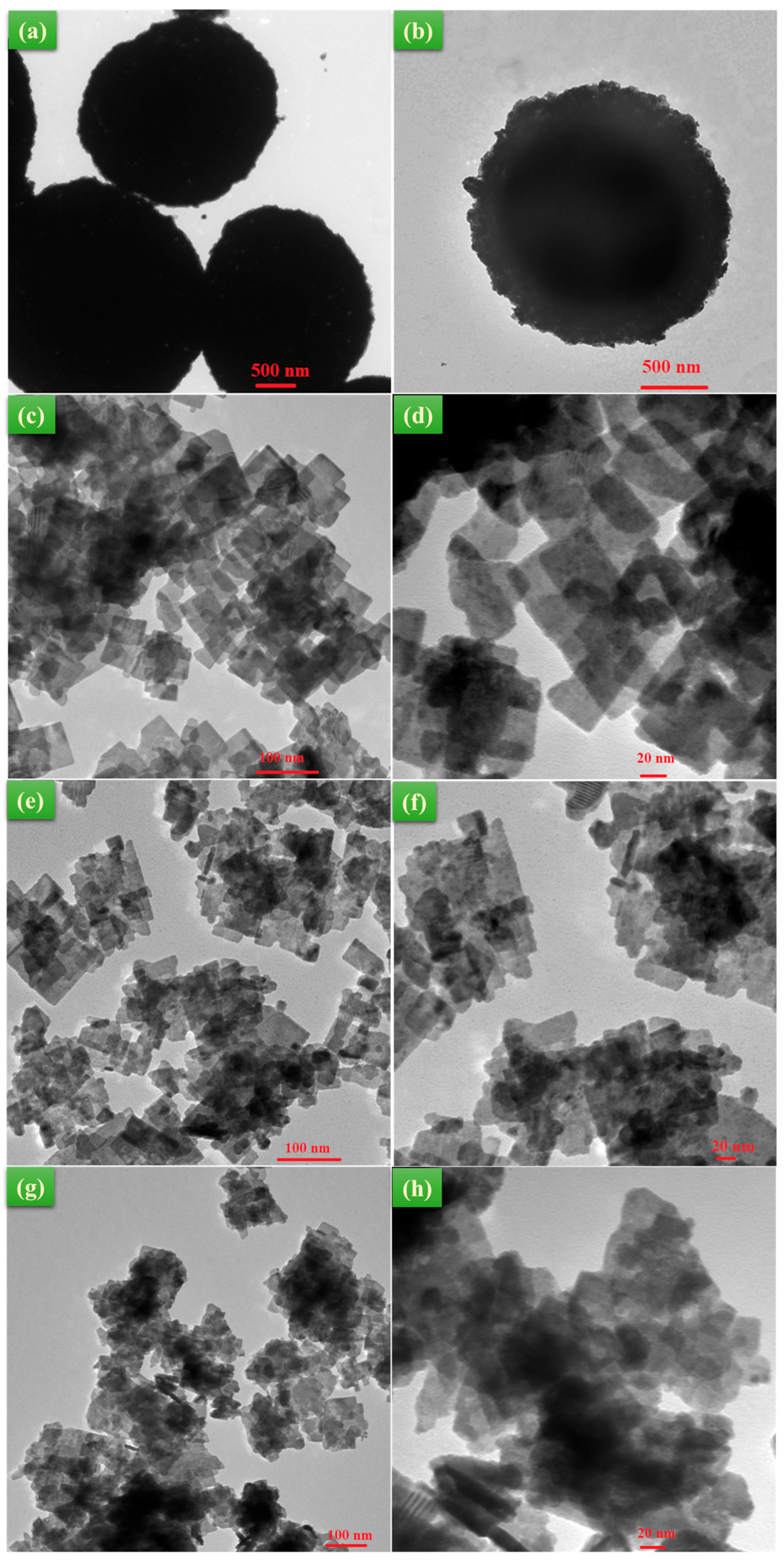 Nanomaterials 13 02614 g002