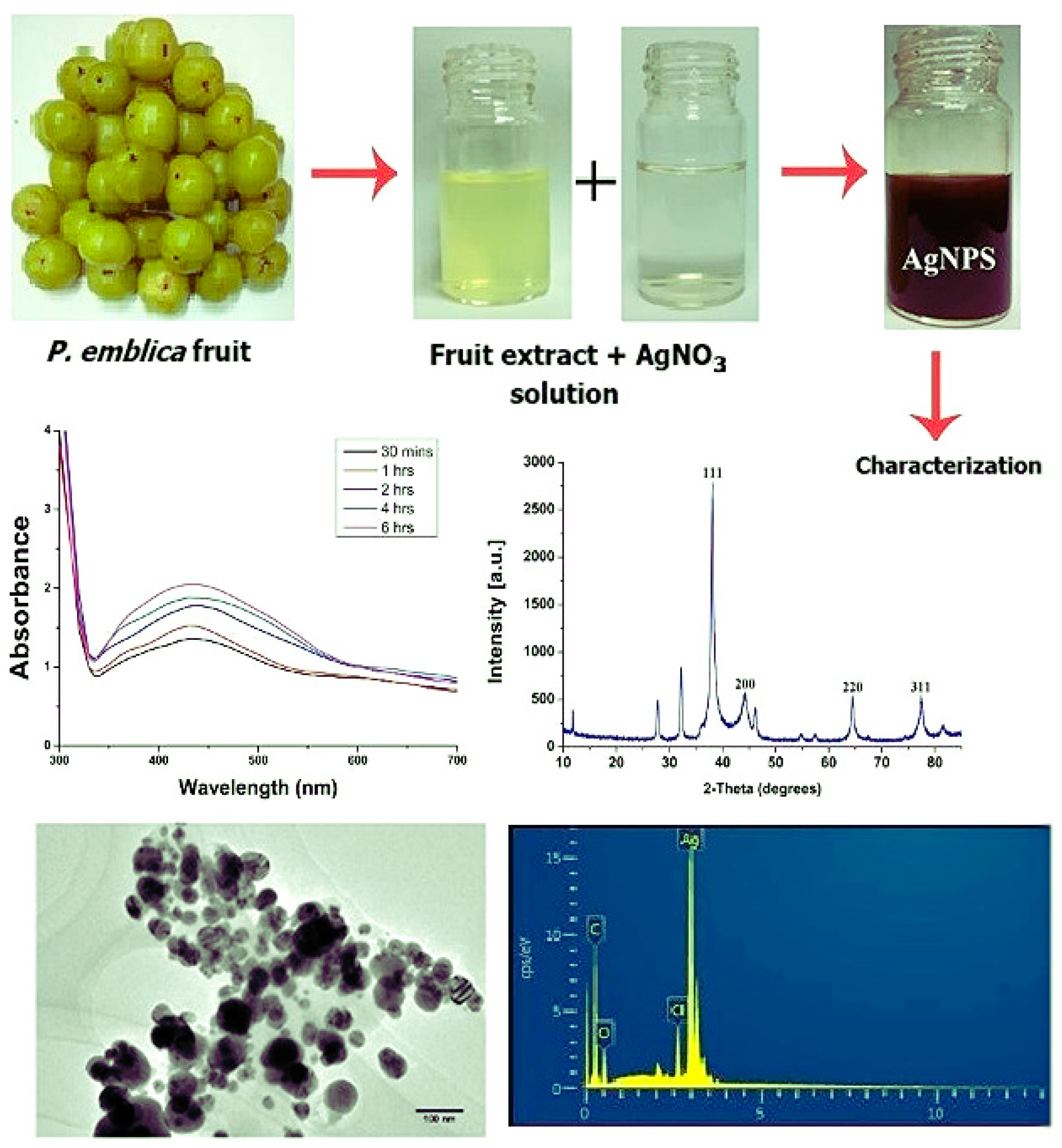 Nanomaterials 13 02616 g004