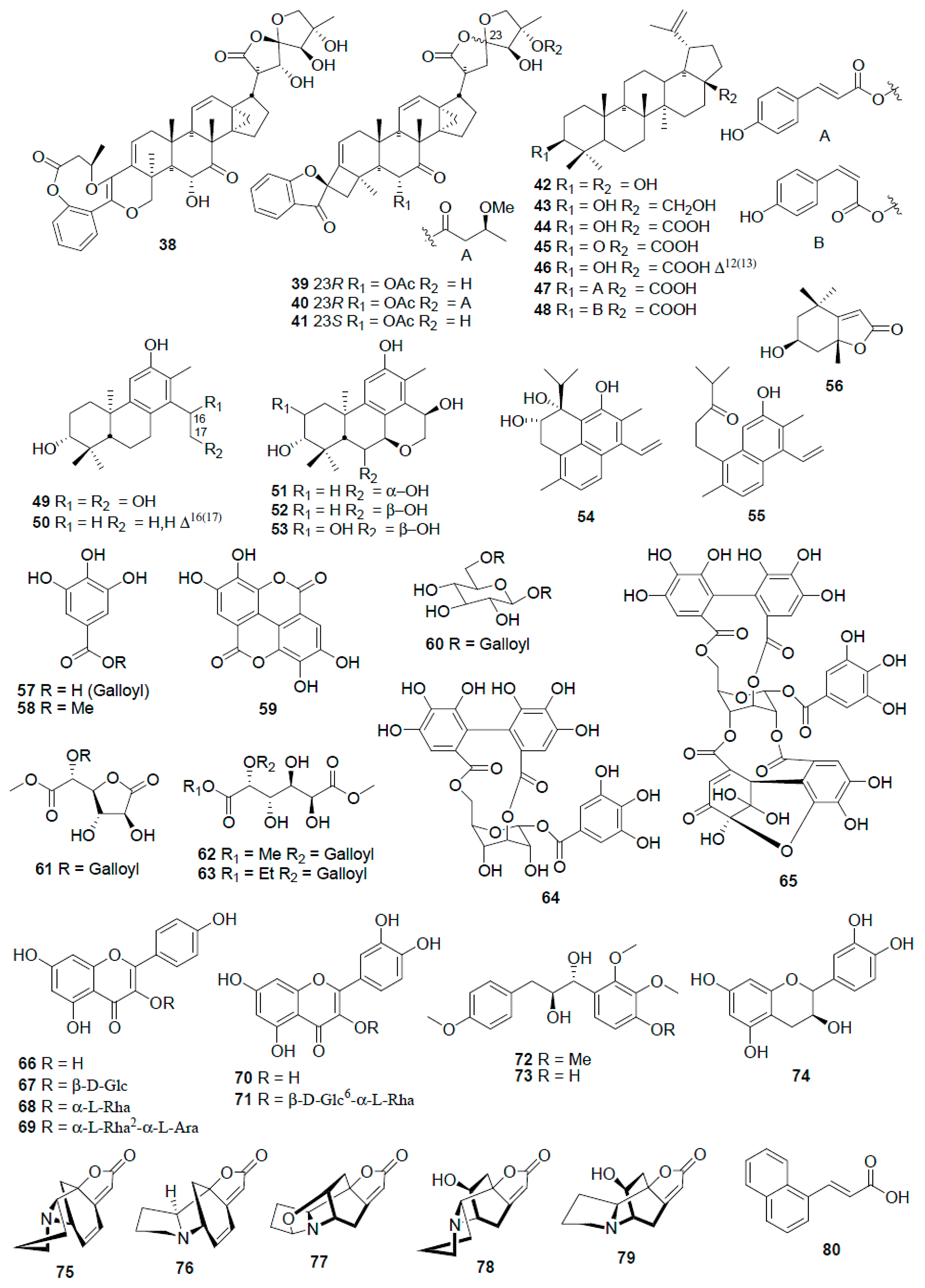 Nanomaterials 13 02616 g006