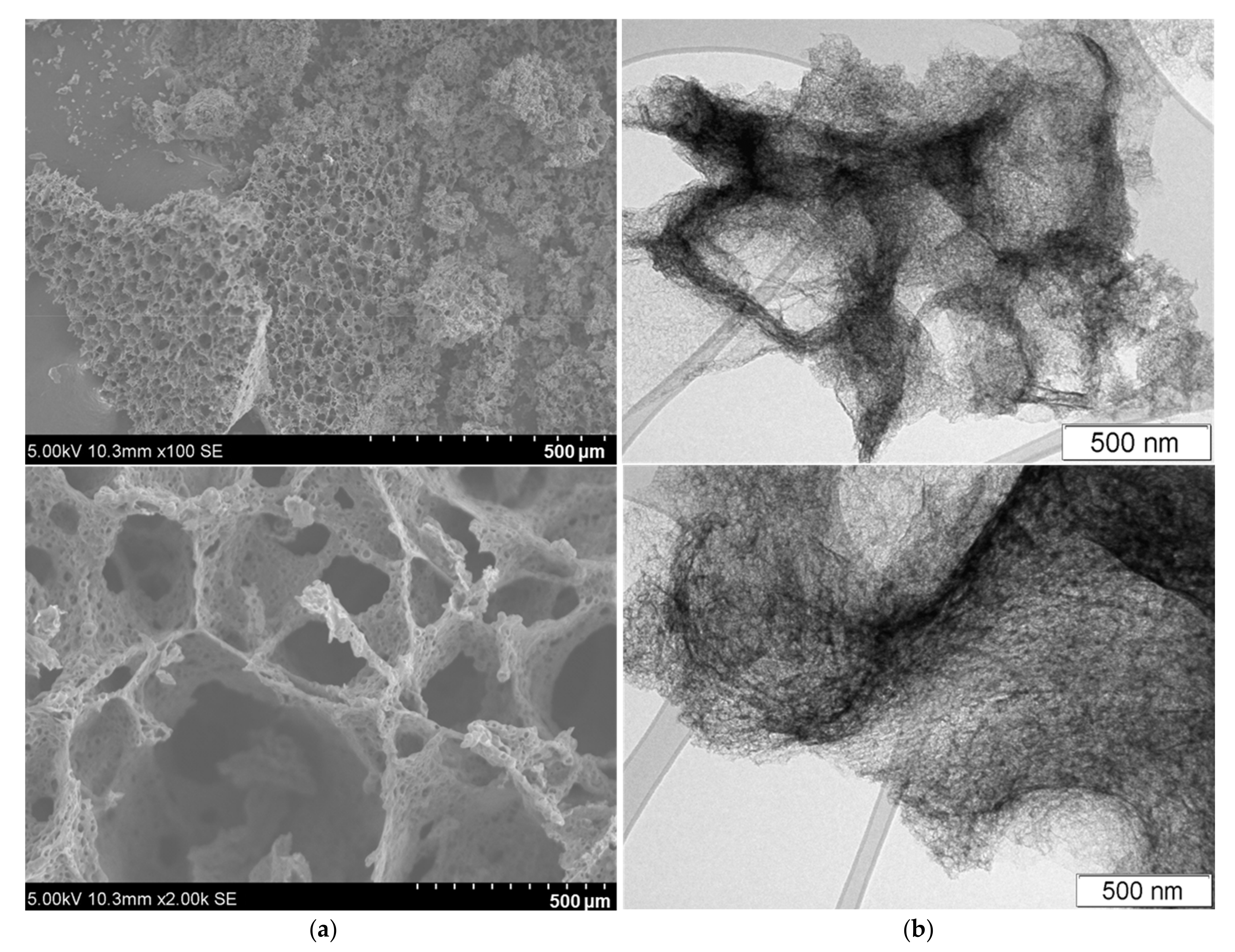 Nanomaterials 13 02623 g002 Nanomaterials 13 02623 g002