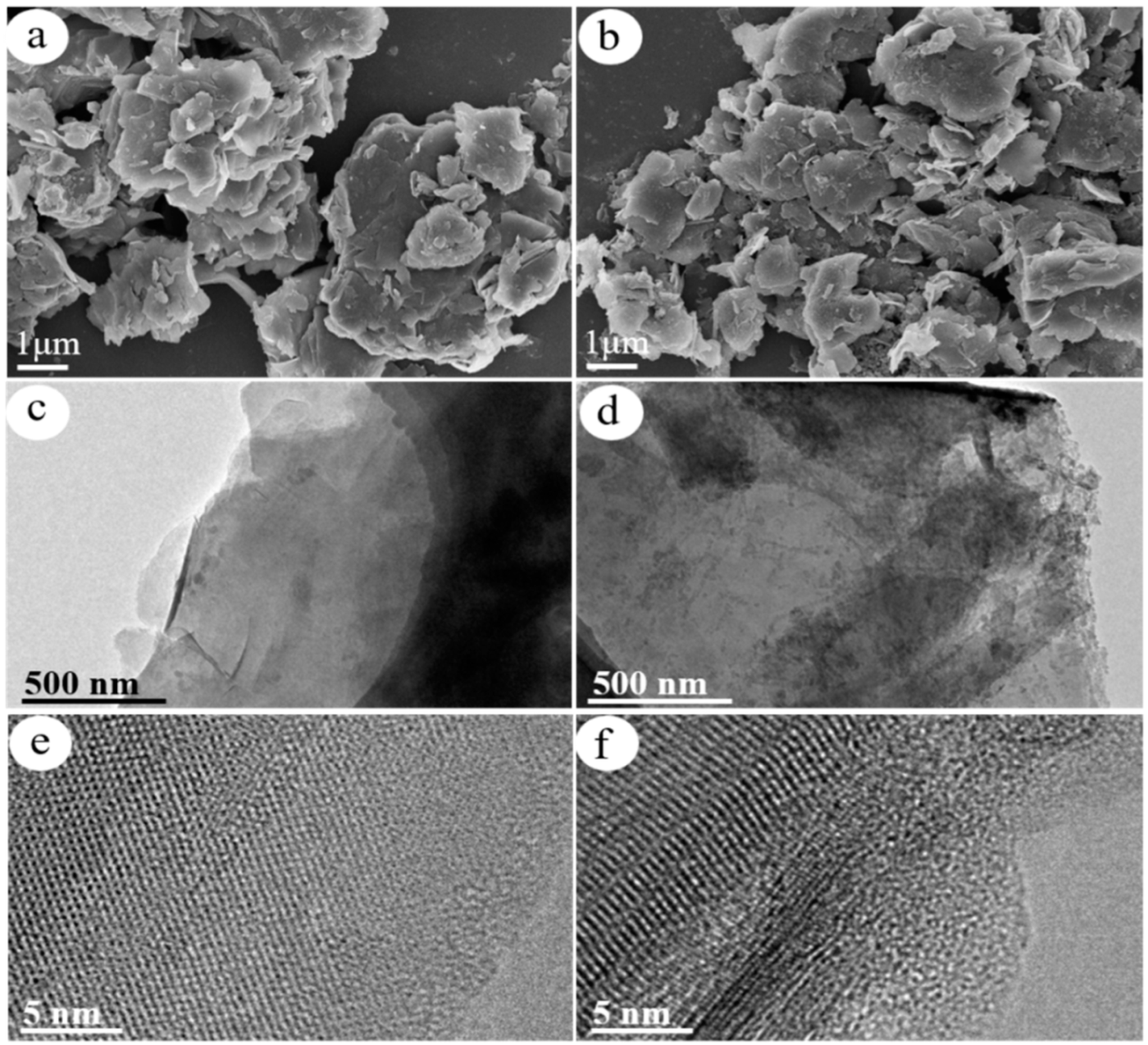 Nanomaterials 13 02627 g002